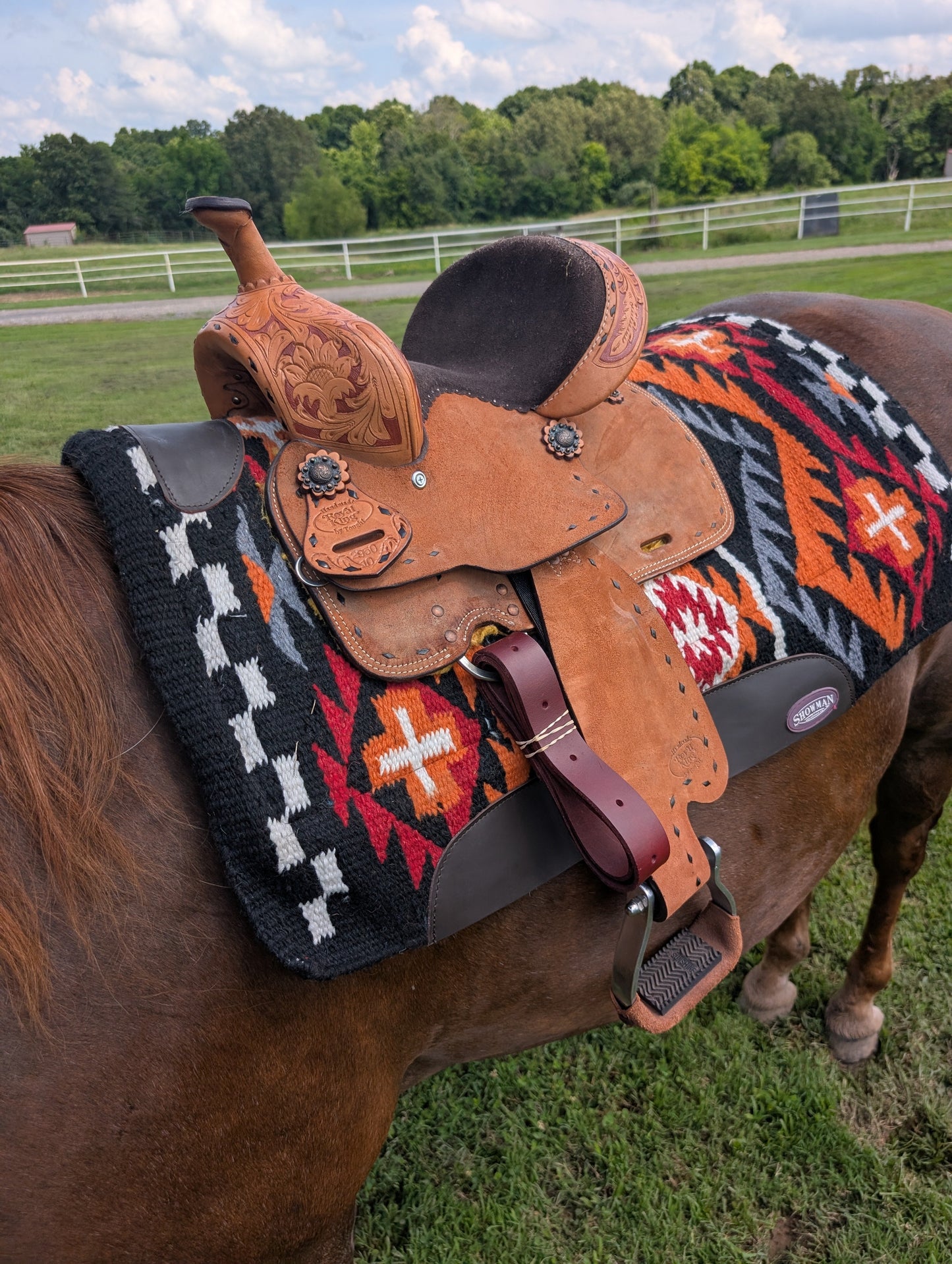 Royal King 10” Youth Reno Roughout Barrel Saddle – Built for Speed & Style