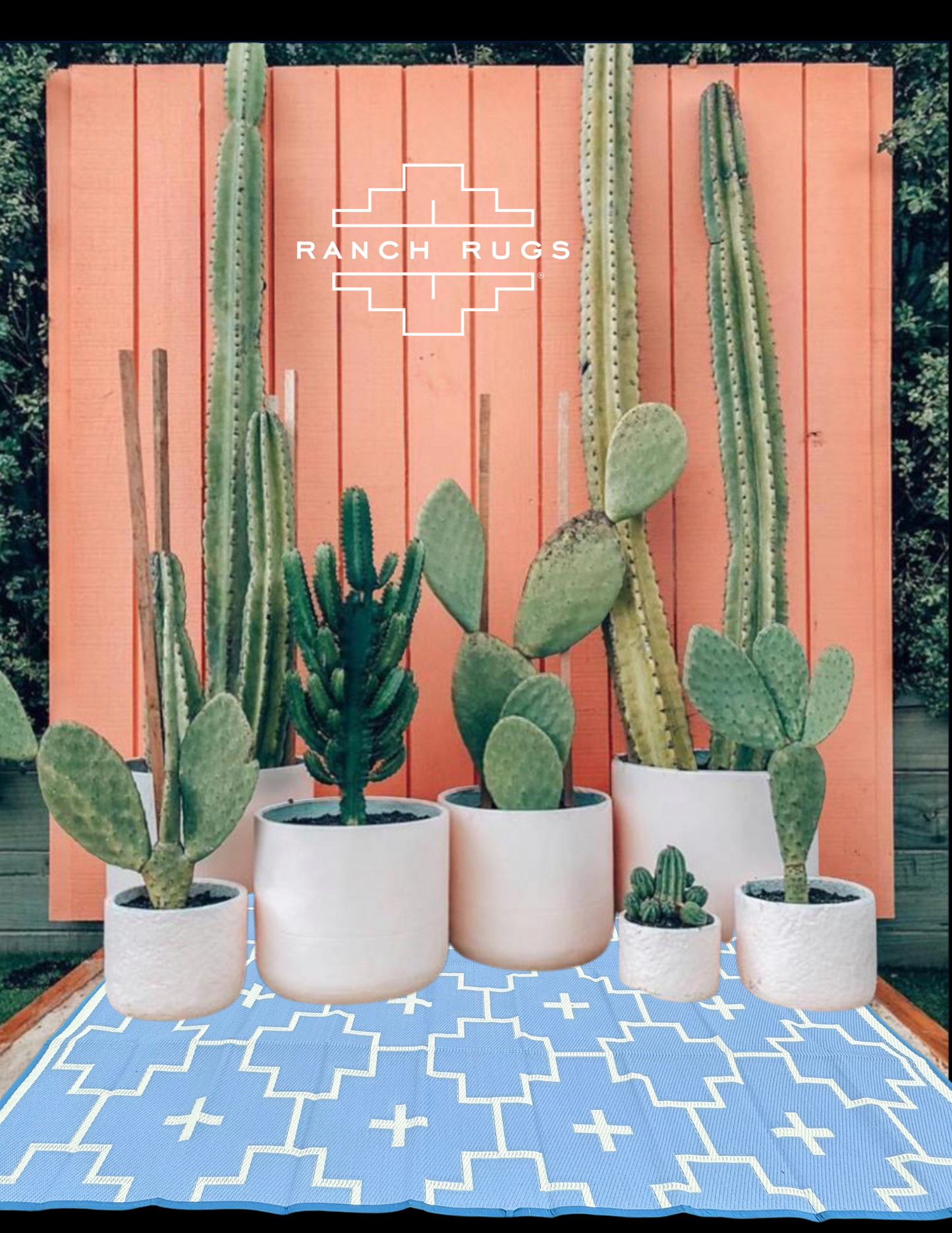 BLUE + IVORY - 6ft x 9ft - RANCH RUGS -LAJITAS DESIGN-