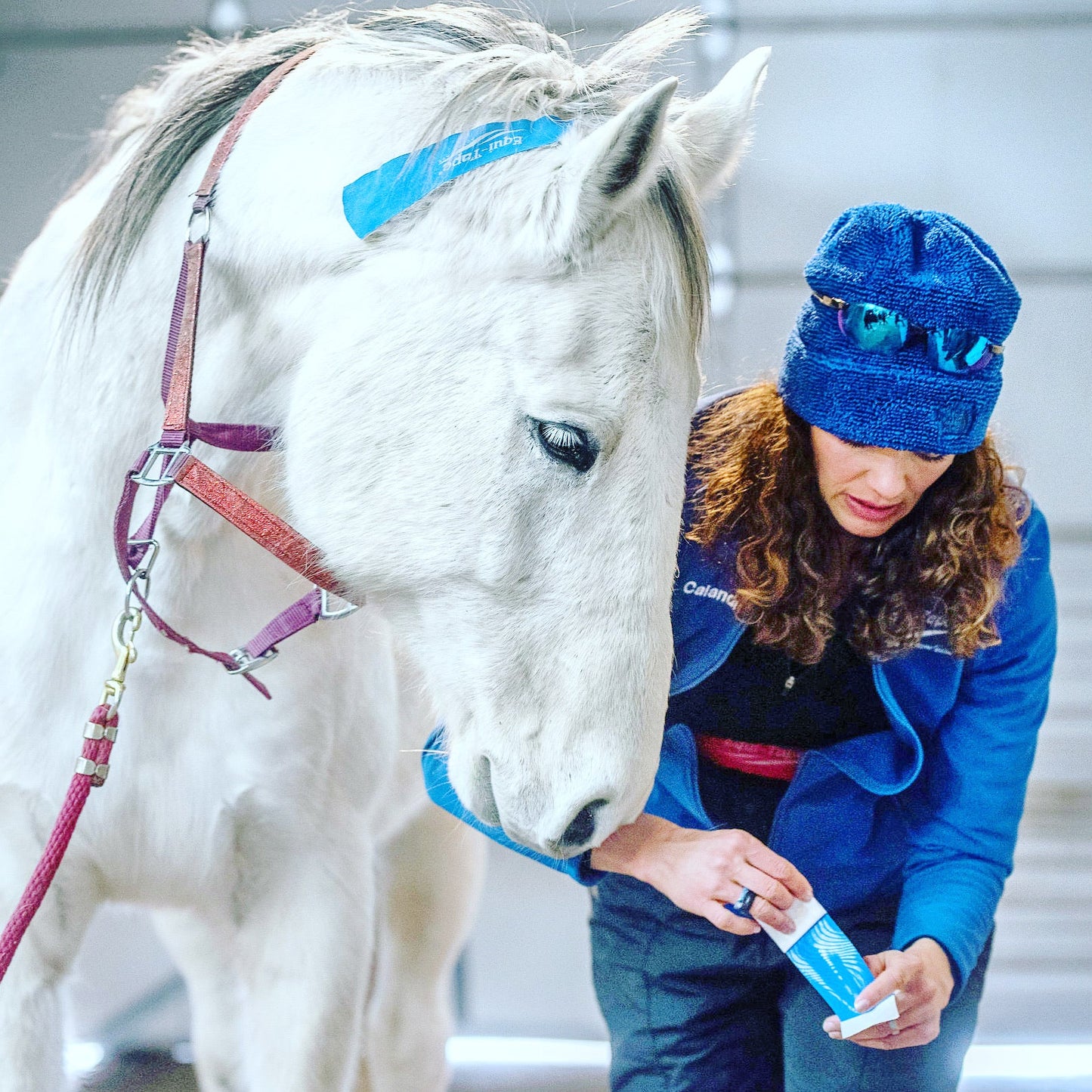 Equi-Taping® Kit