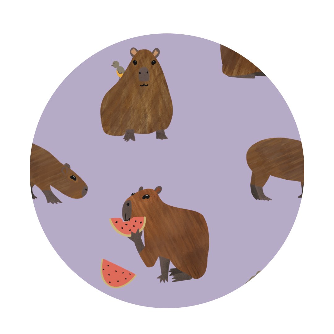 Capybara Baby Zip Pajamas