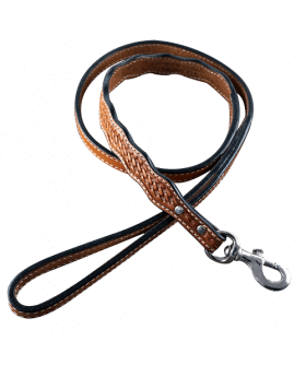 Light Oil Leather leash 4' x 1" wide