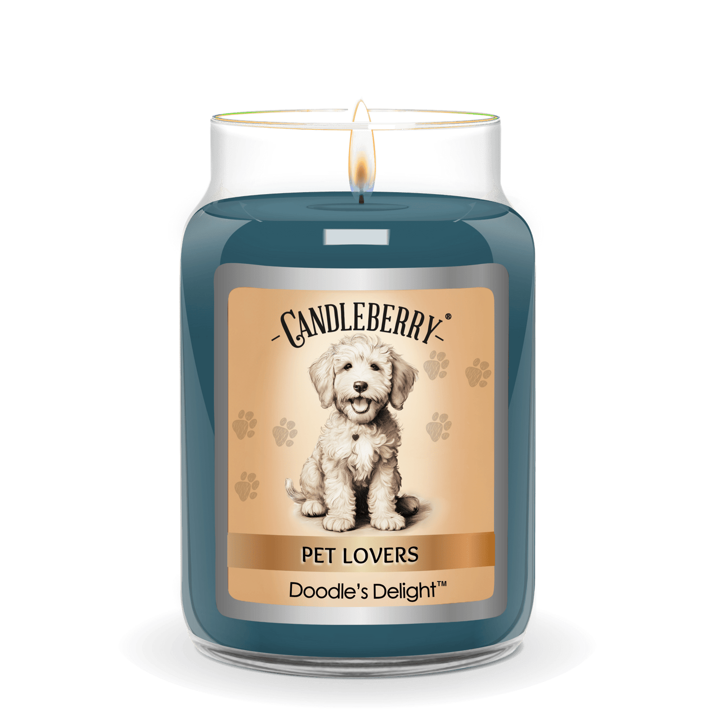 Doodle's Delight™ - Large Jar Candle (Collective)