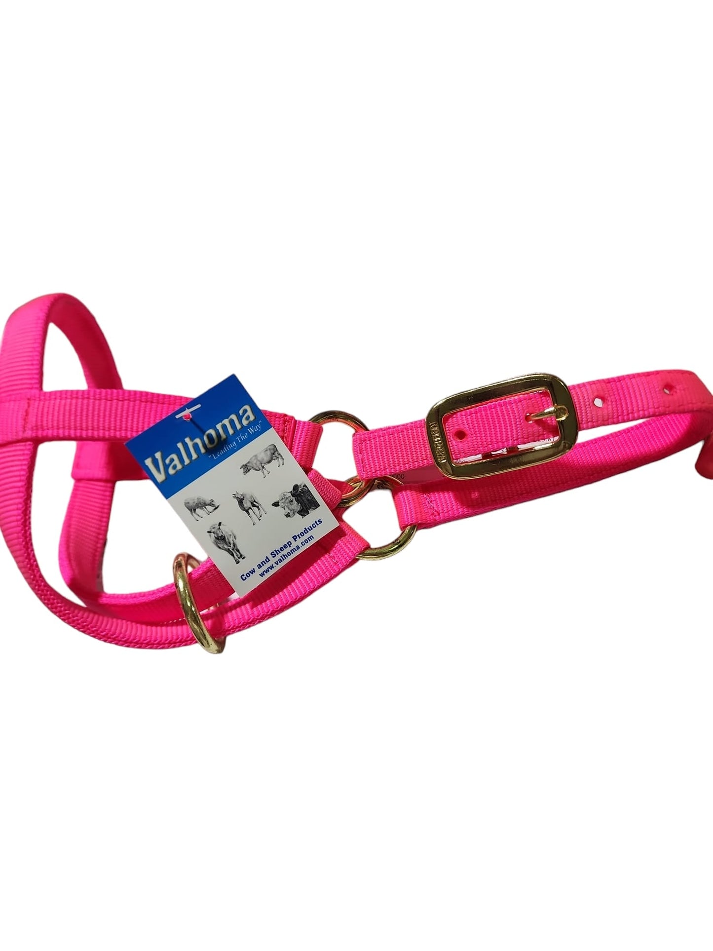 Valhoma: Halter - Goat Kid - Hot Pink