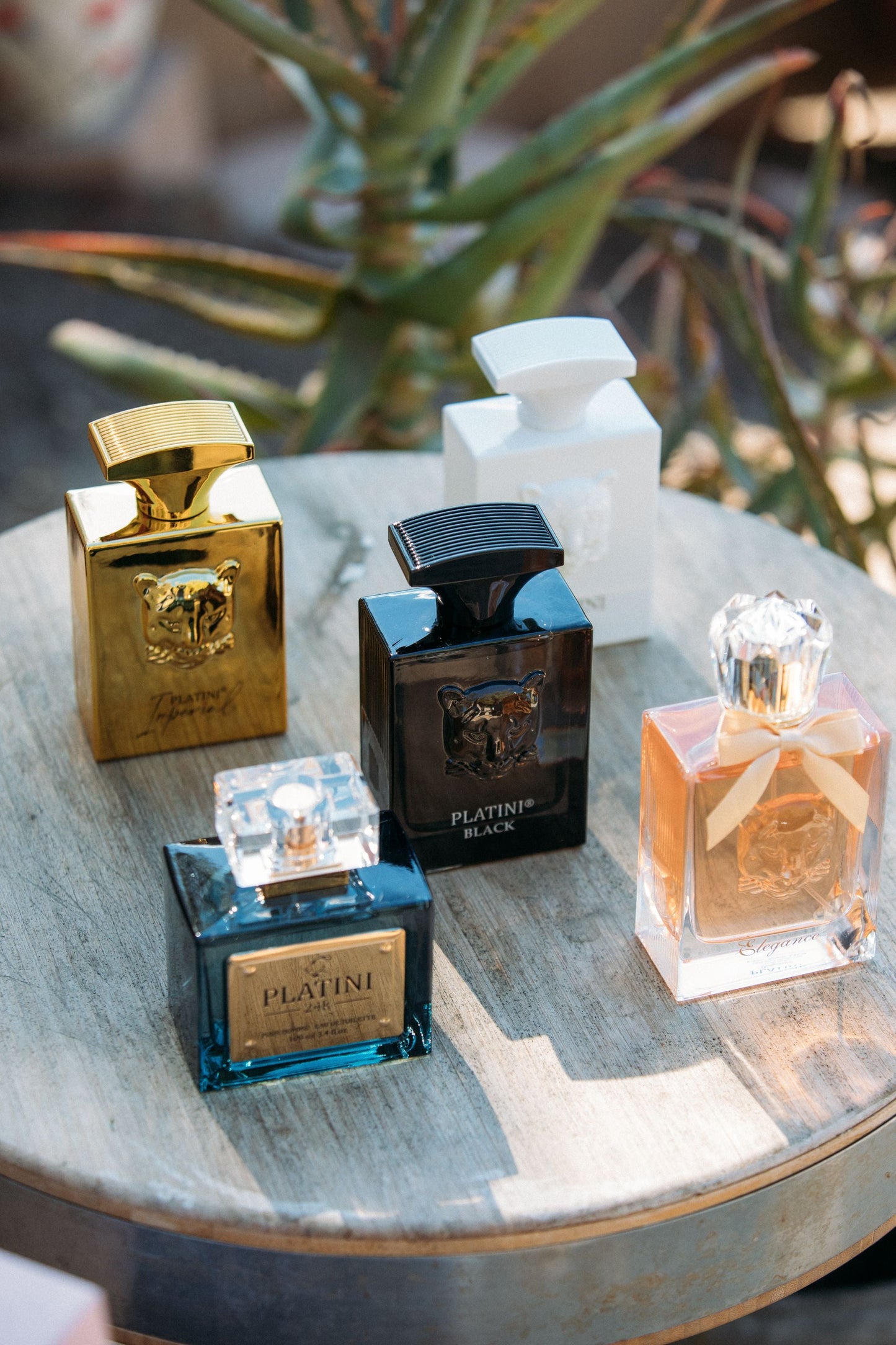 Men's White Pour Homme Fragrance