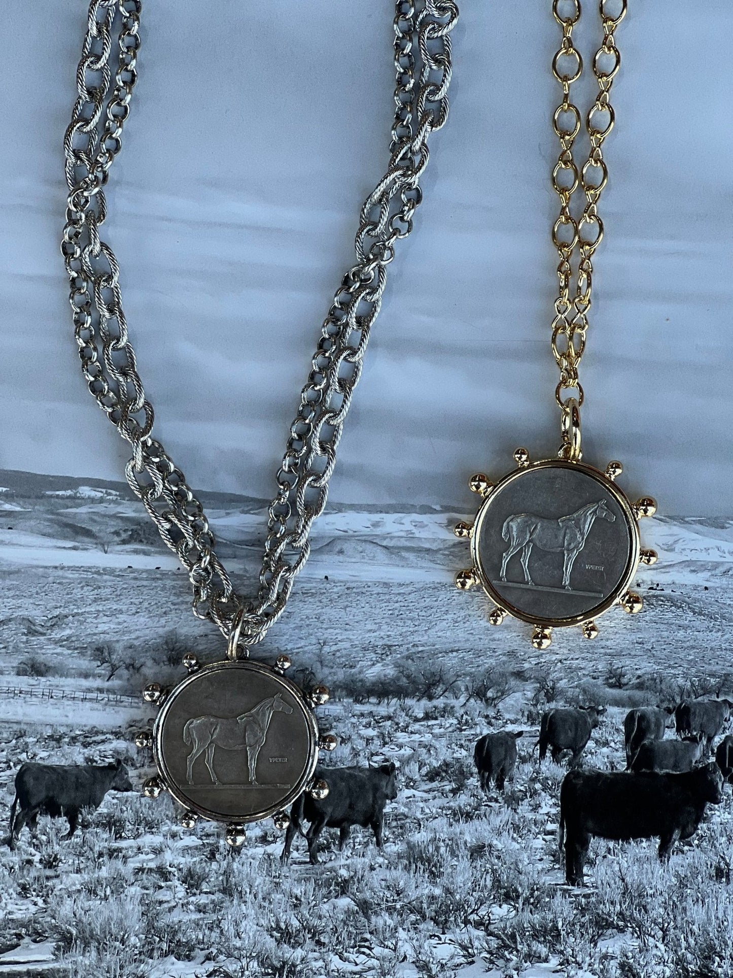 Silver Horse Coin Double Chain Necklace