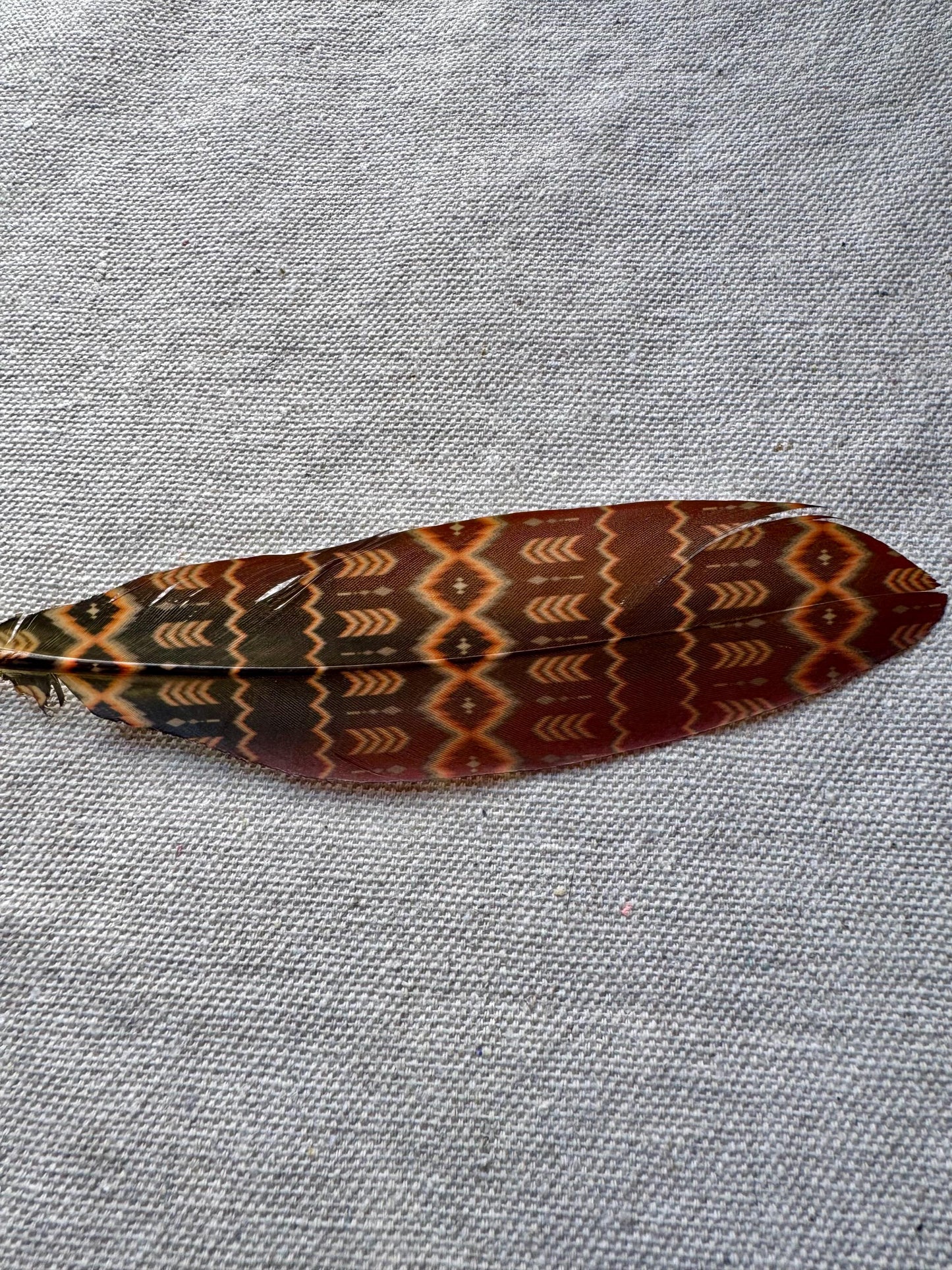 Faded Southwestern Western Hat Feather