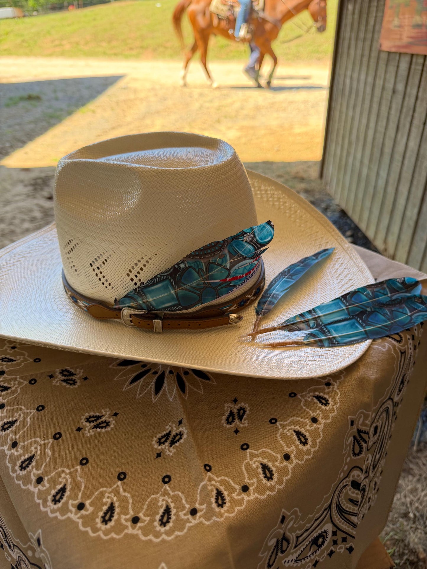 Turquoise Dream Western Hat Feather