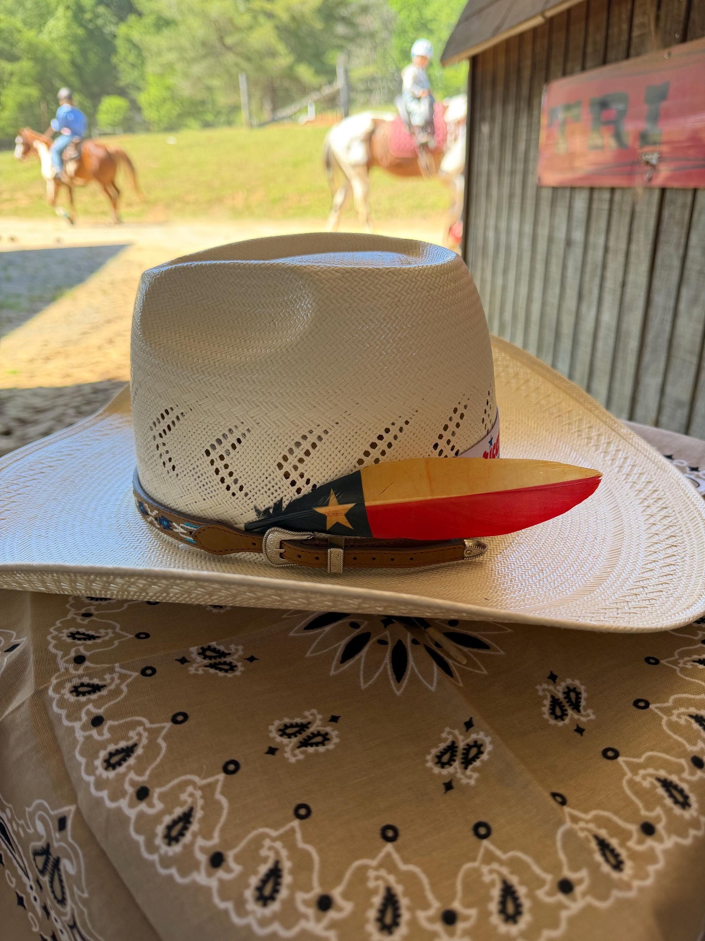 Texas Flag Western Hat Feather