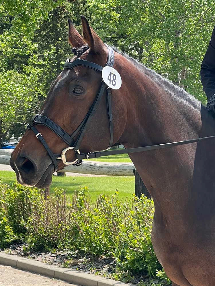 Cobra Snakeskin-Embossed Monocrown Bridle