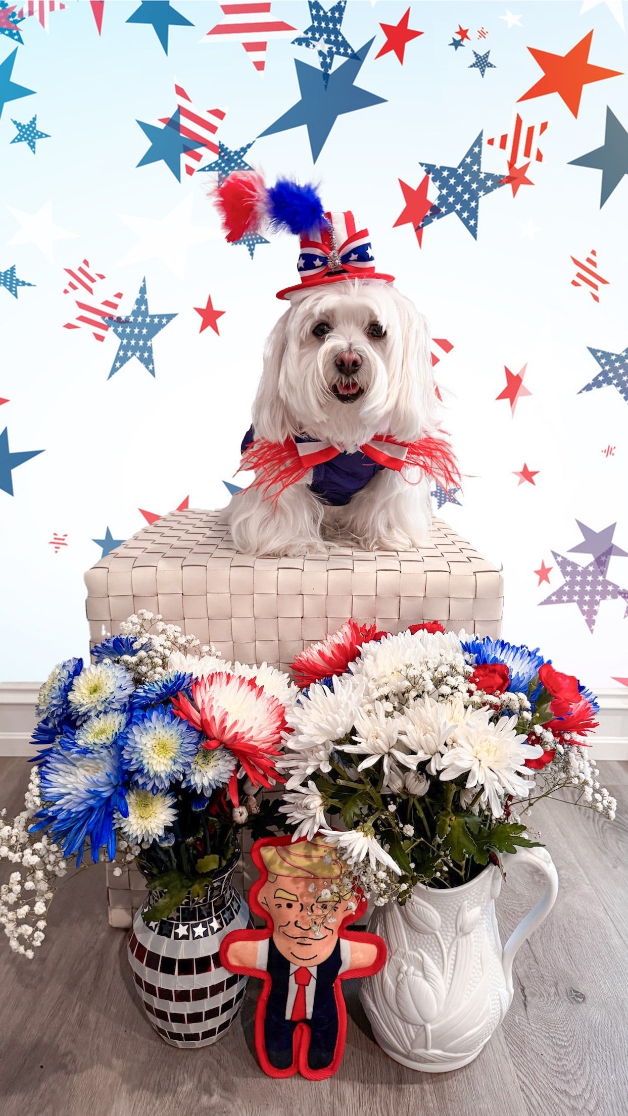 DONALD DOG TOY