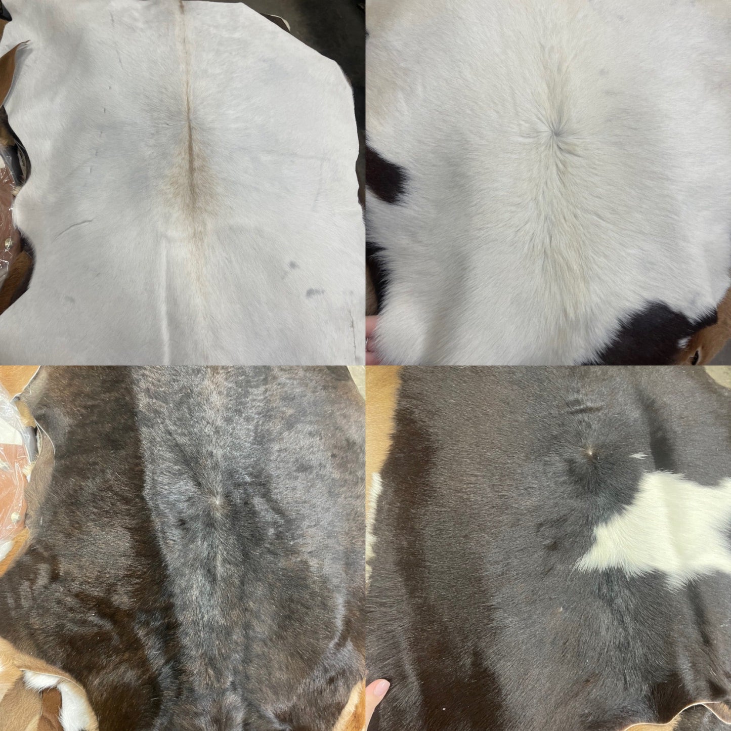 2’x3’ Hides