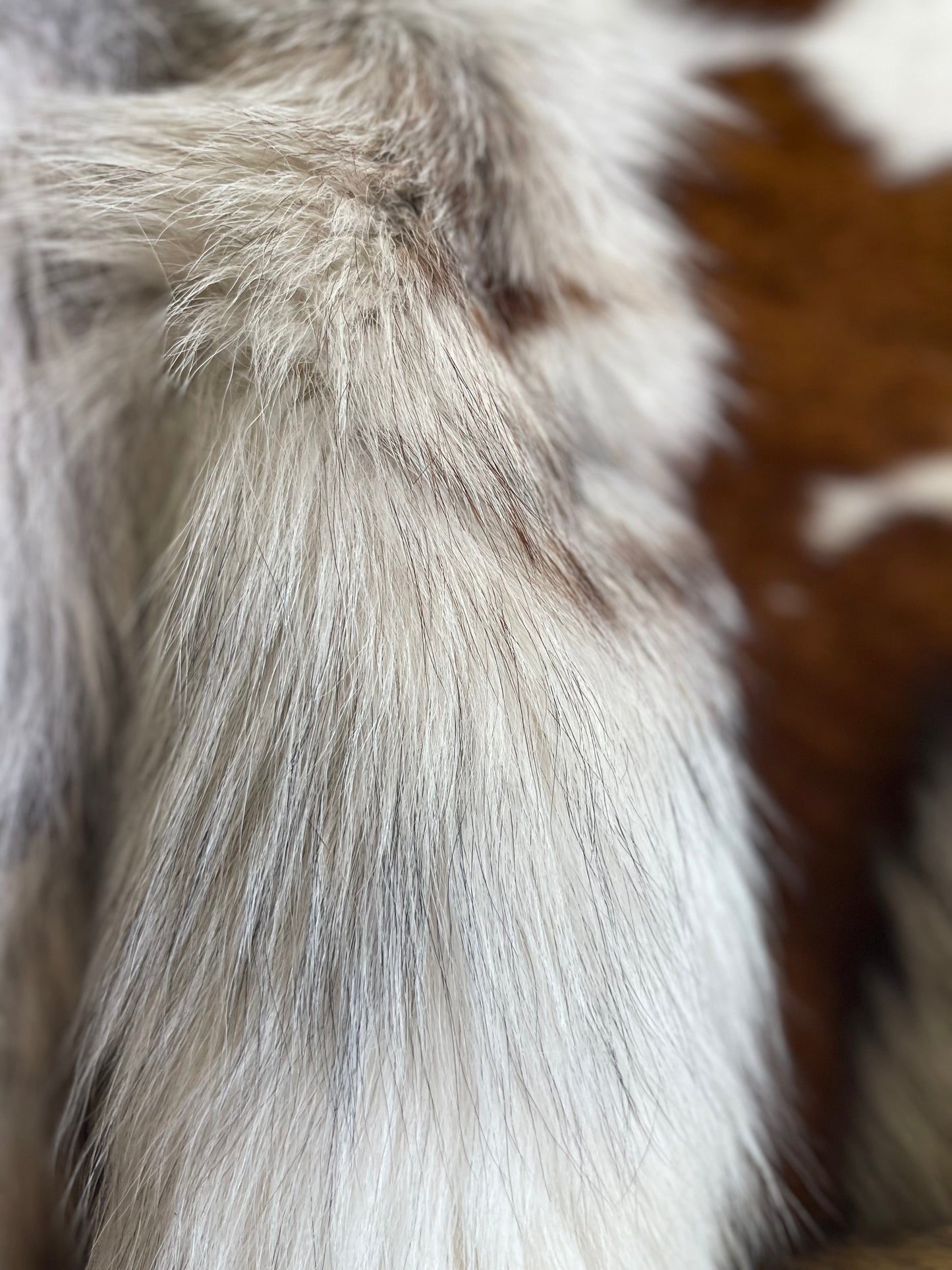 Mutated Fox Tail