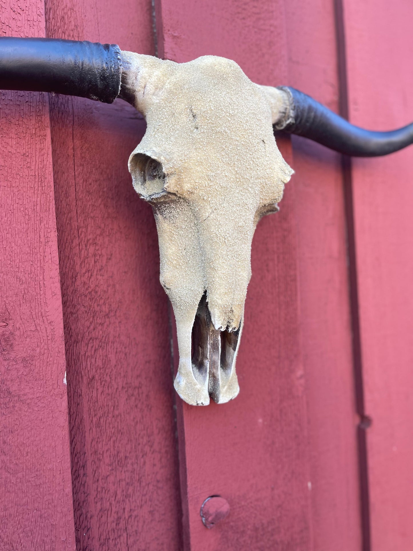 Sandy Cowskull