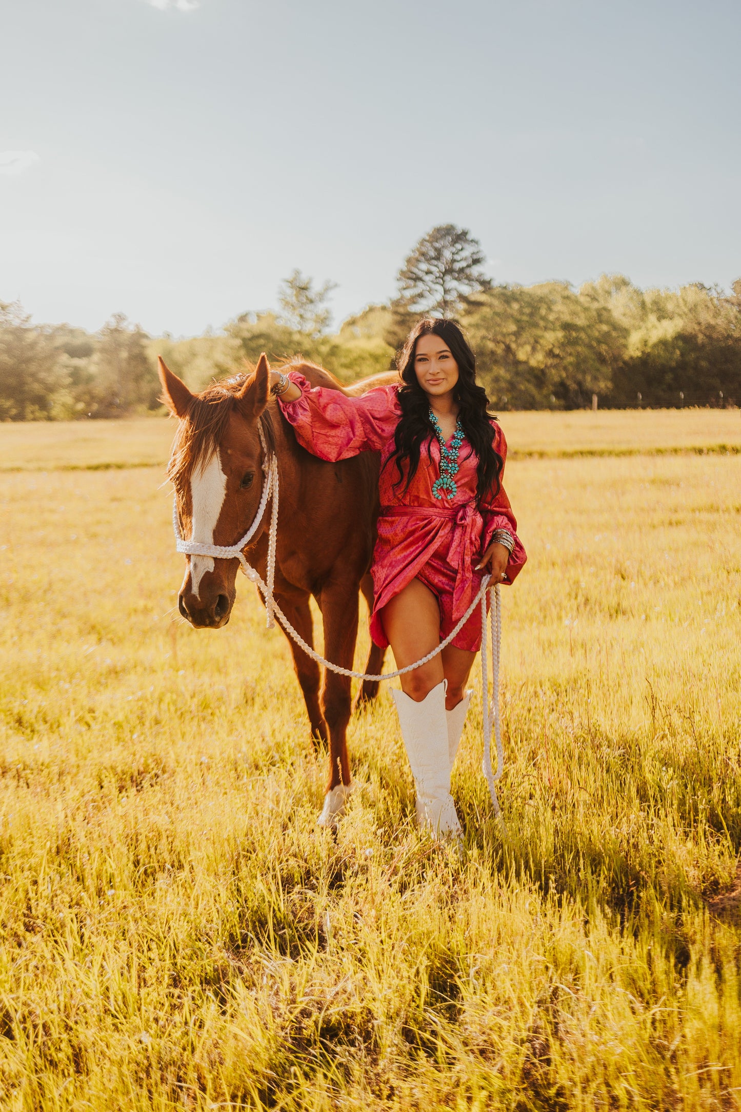 The Santa Fe Dress