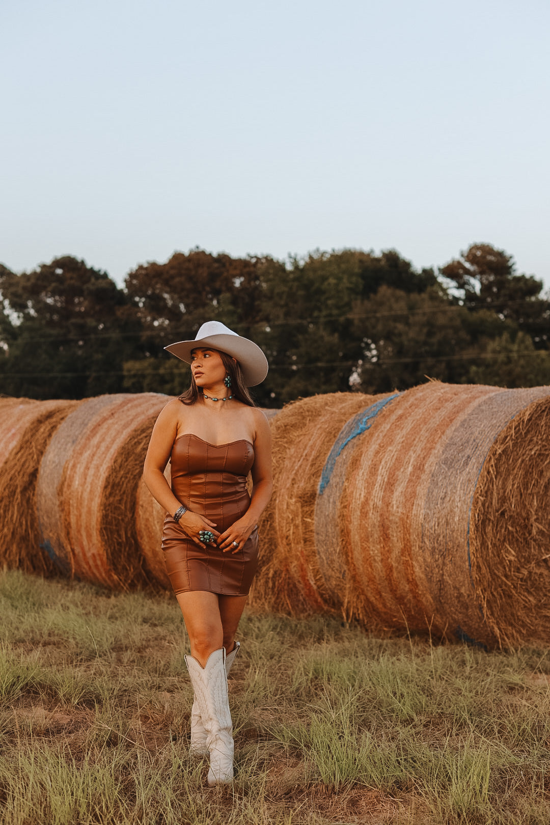 The Laci Dress - small