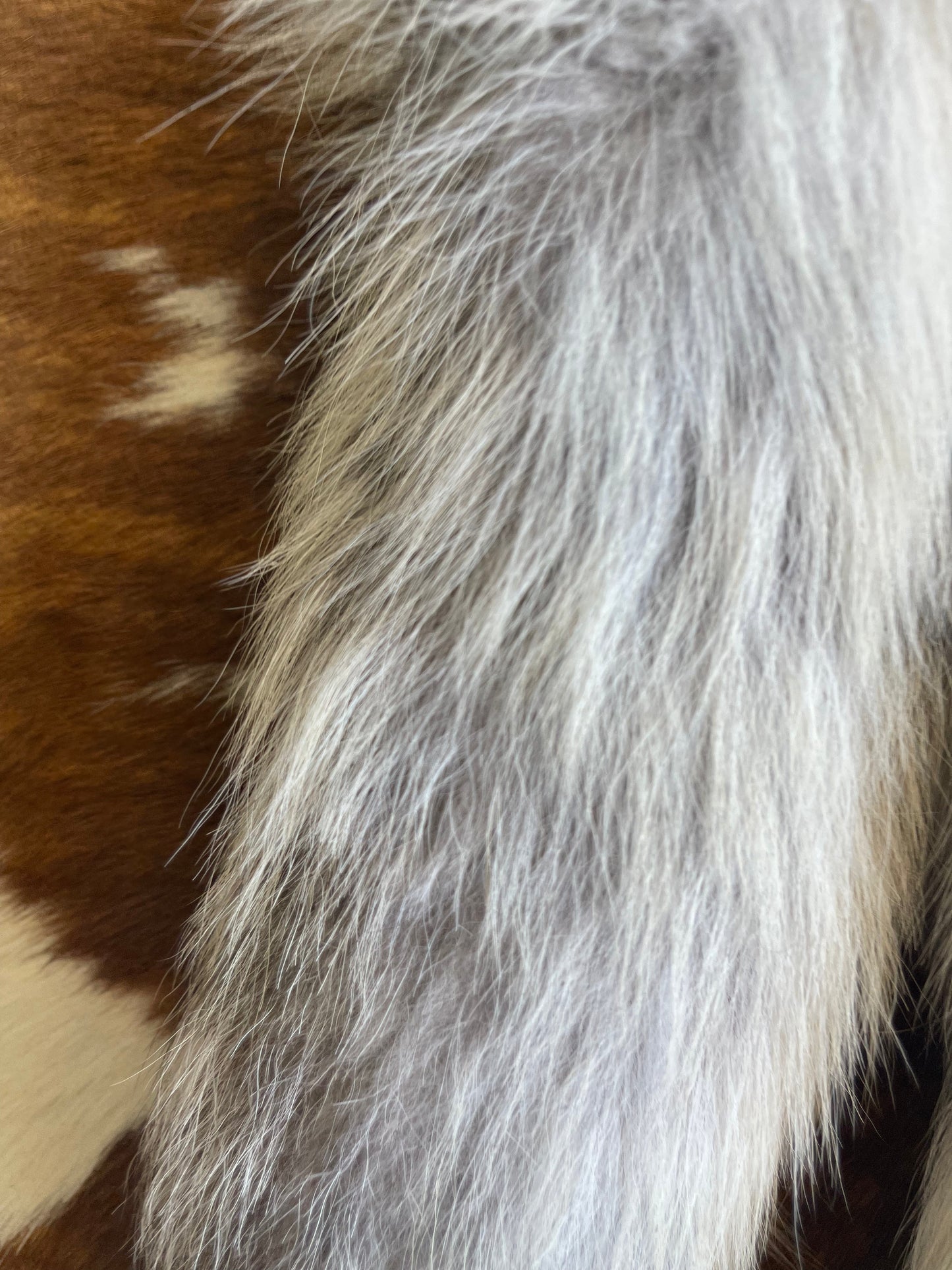 Mutated Fox Tail