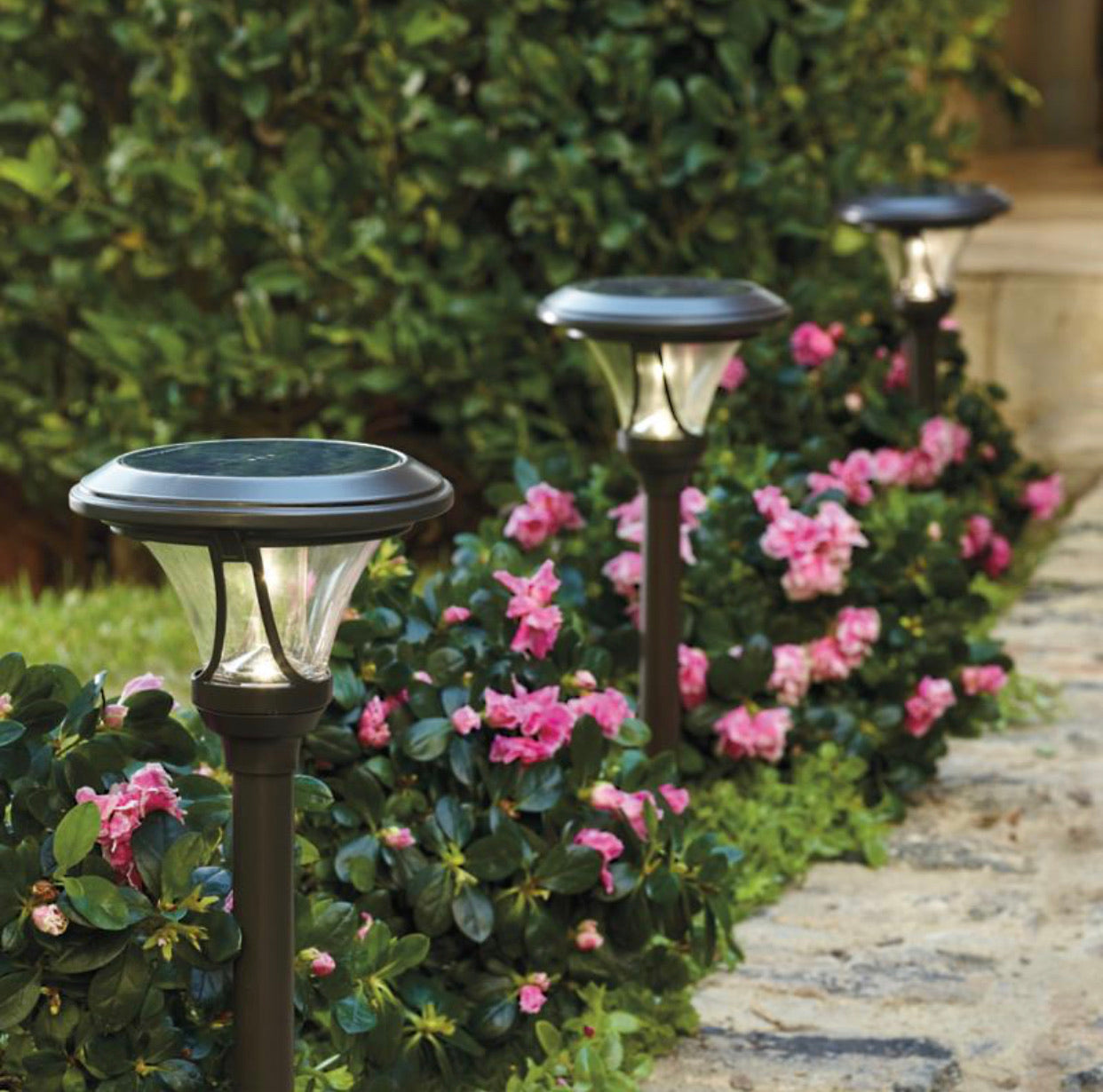 Patriot Oswego Solar Pathway Lights 6 Lumen 8-Pack