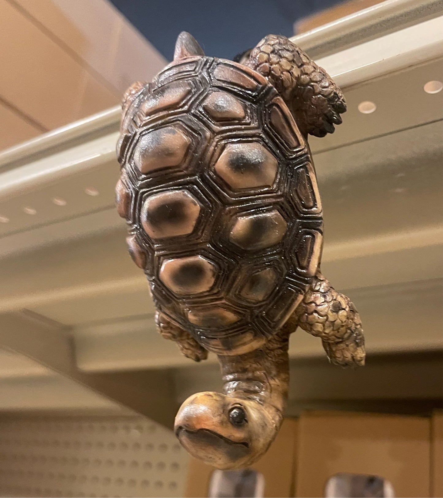 Turtle Hook