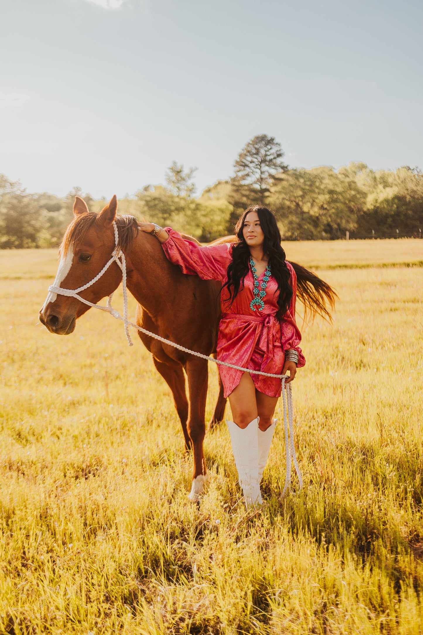 The Santa Fe Dress