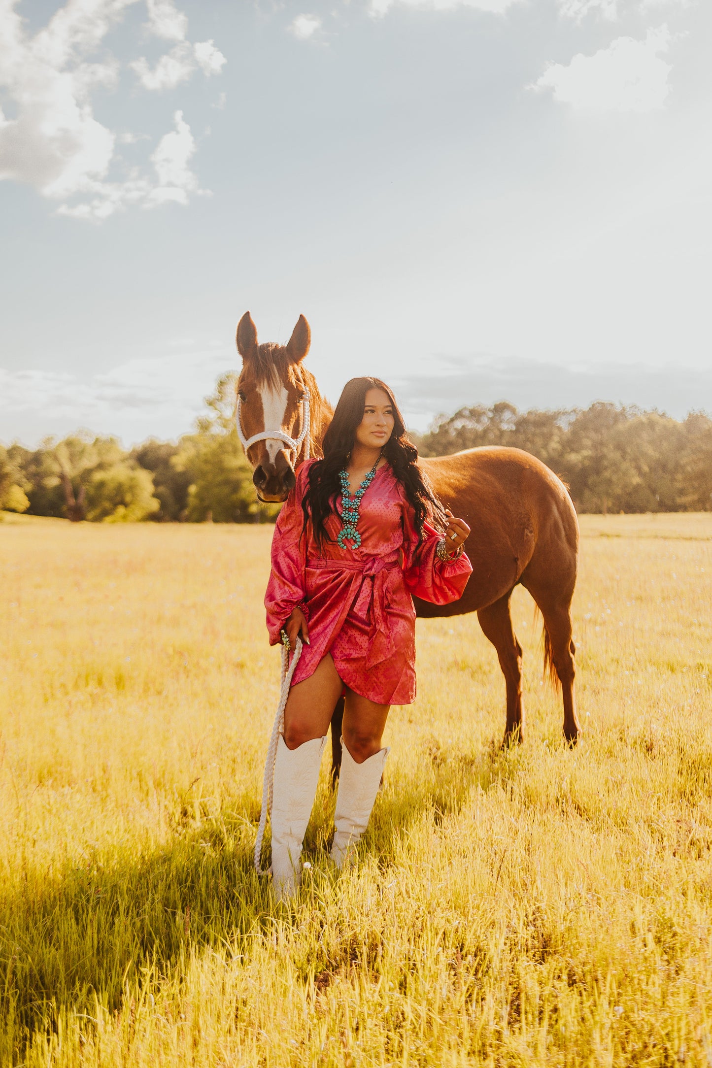 The Santa Fe Dress
