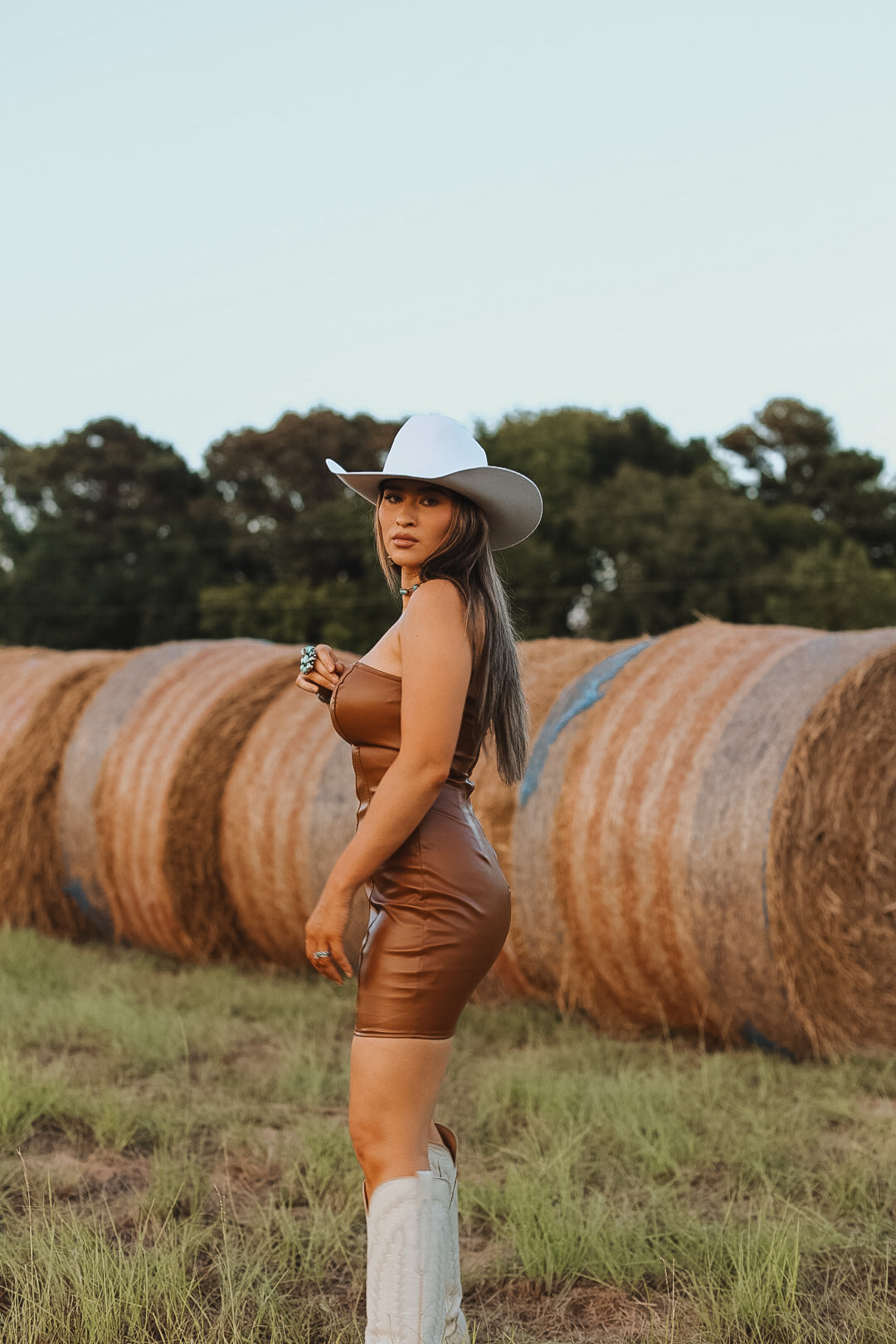 The Laci Dress - small