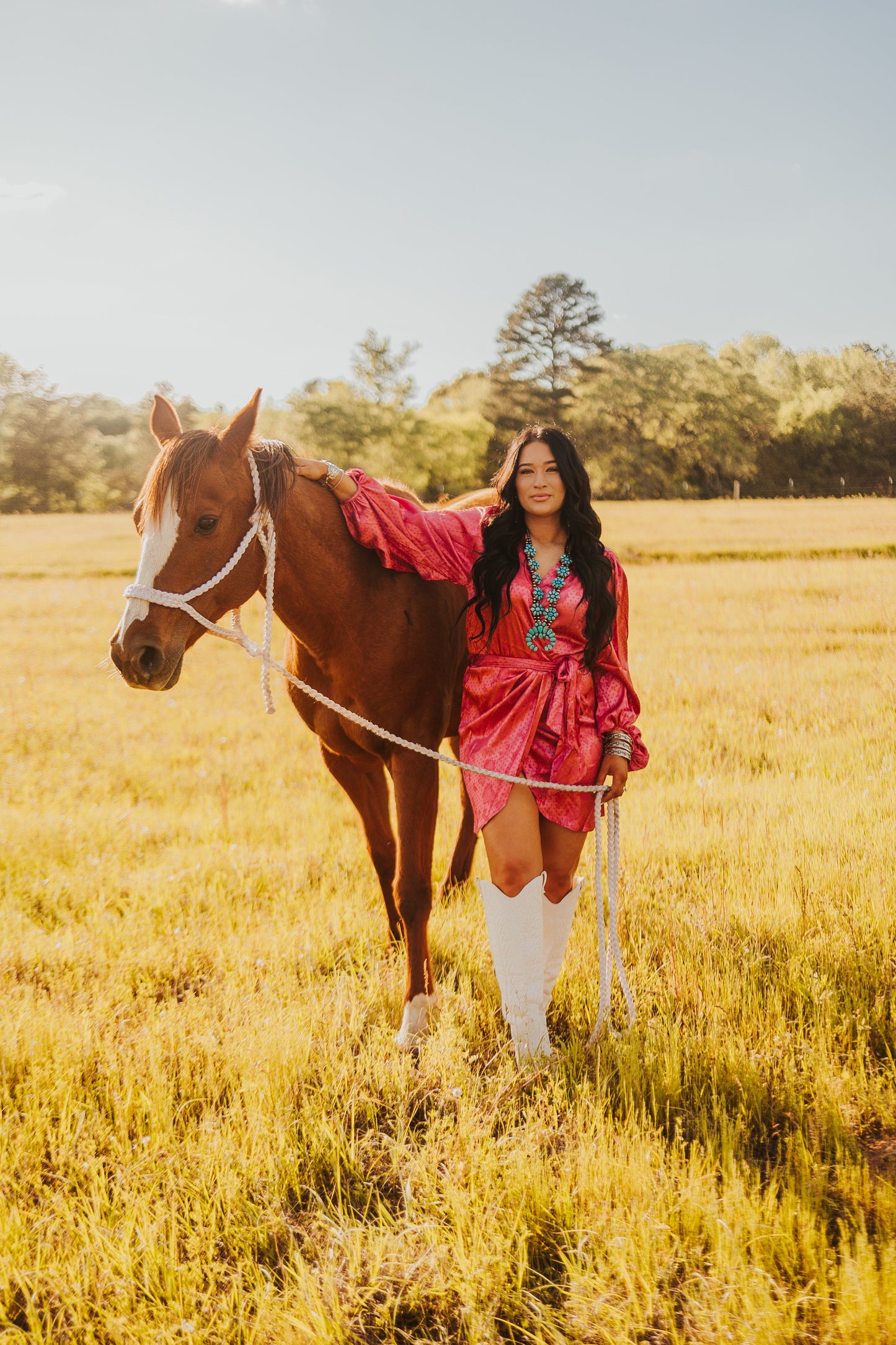 The Santa Fe Dress