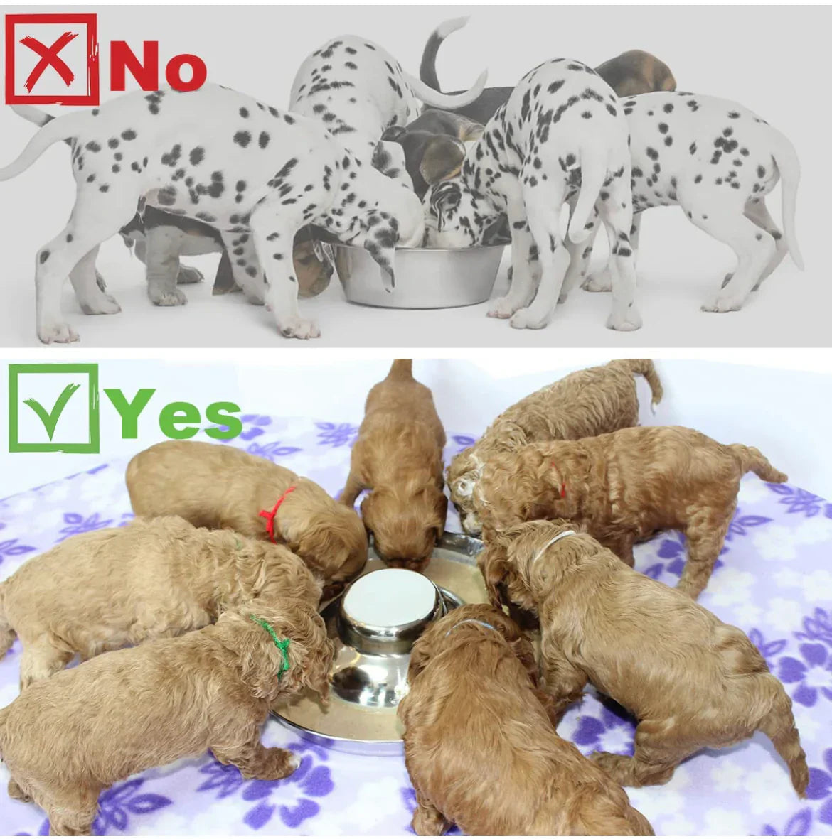 Stainless steel Weaning puppy food bowls