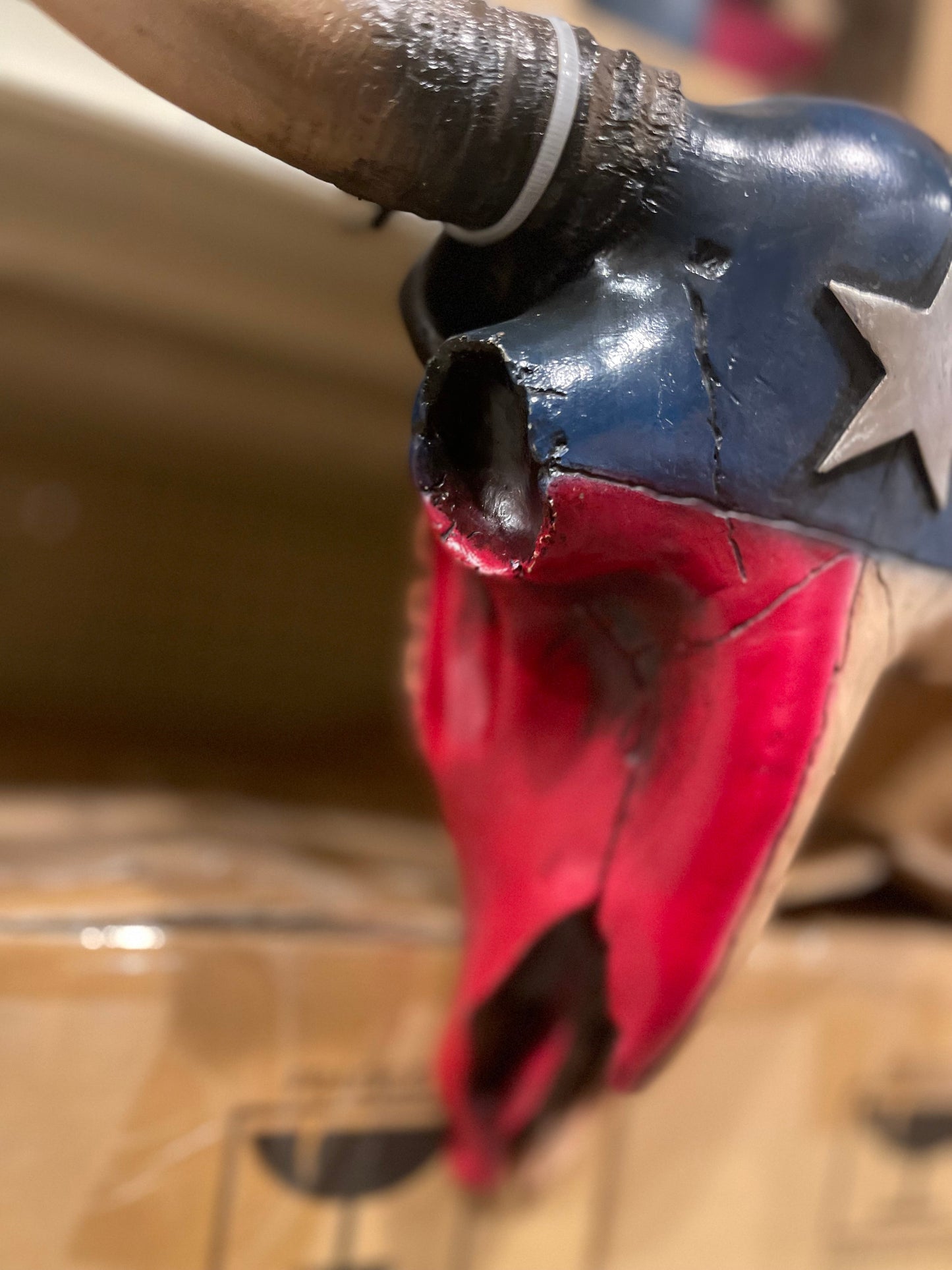 Texas Cowskull