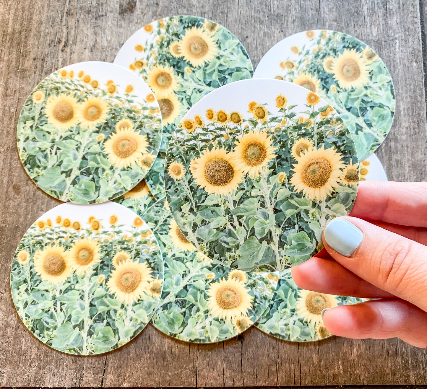 Sunflower Field - Sticker