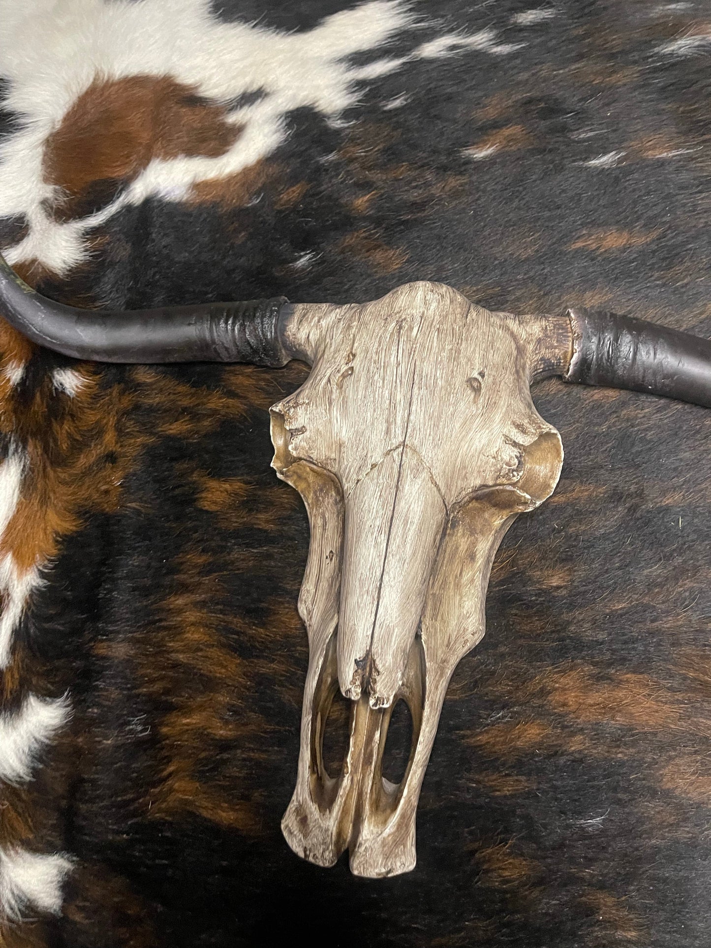 Driftwood Cowskull
