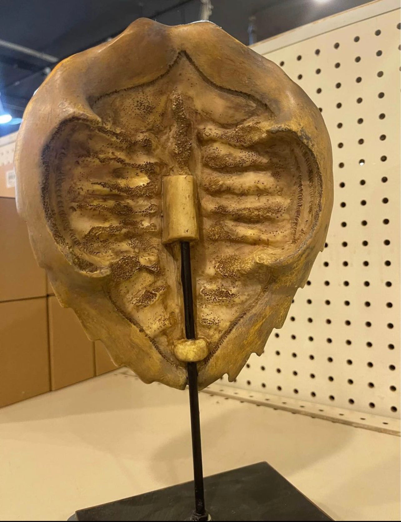 Turtle Shell Statue