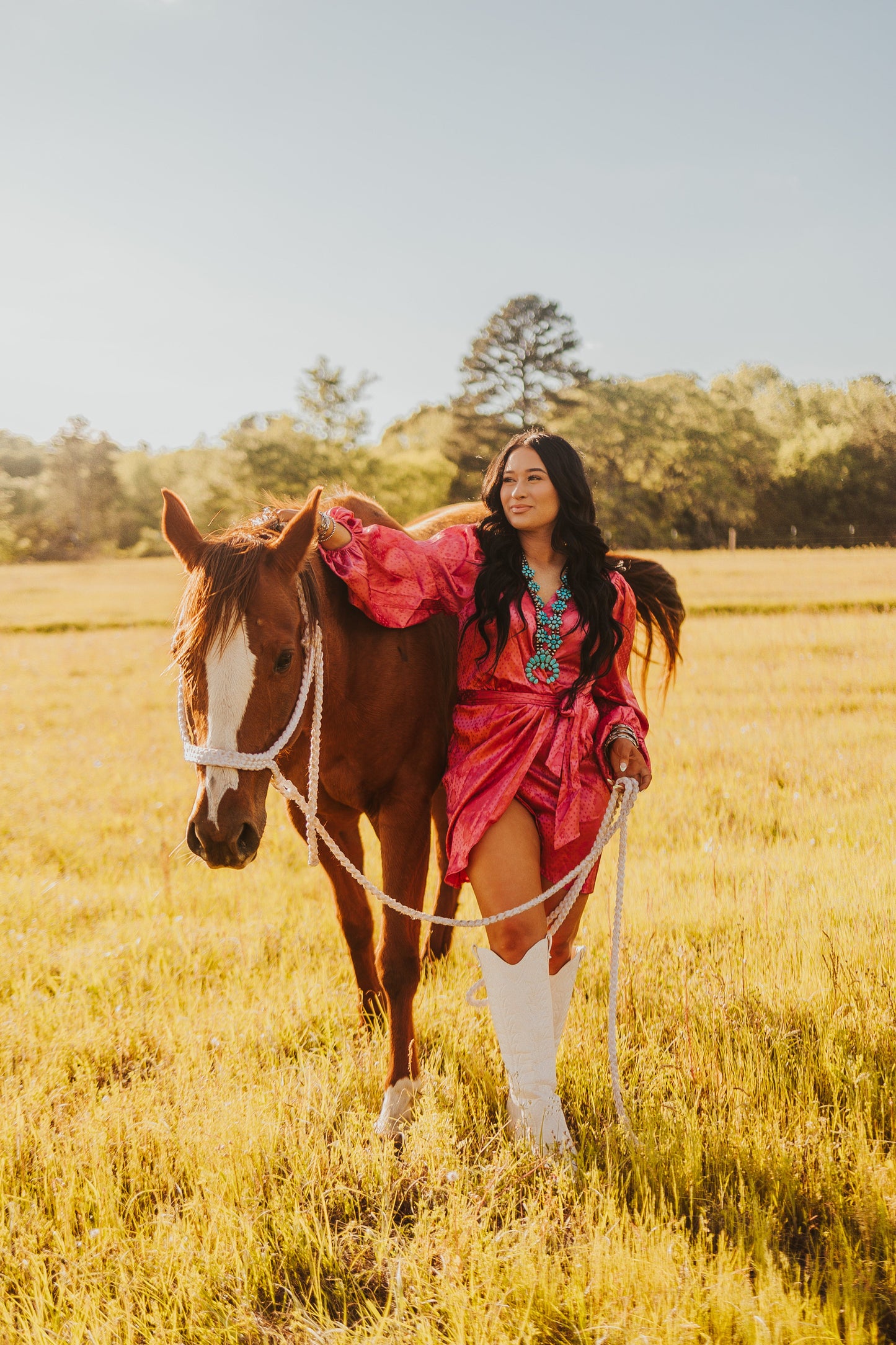 The Santa Fe Dress