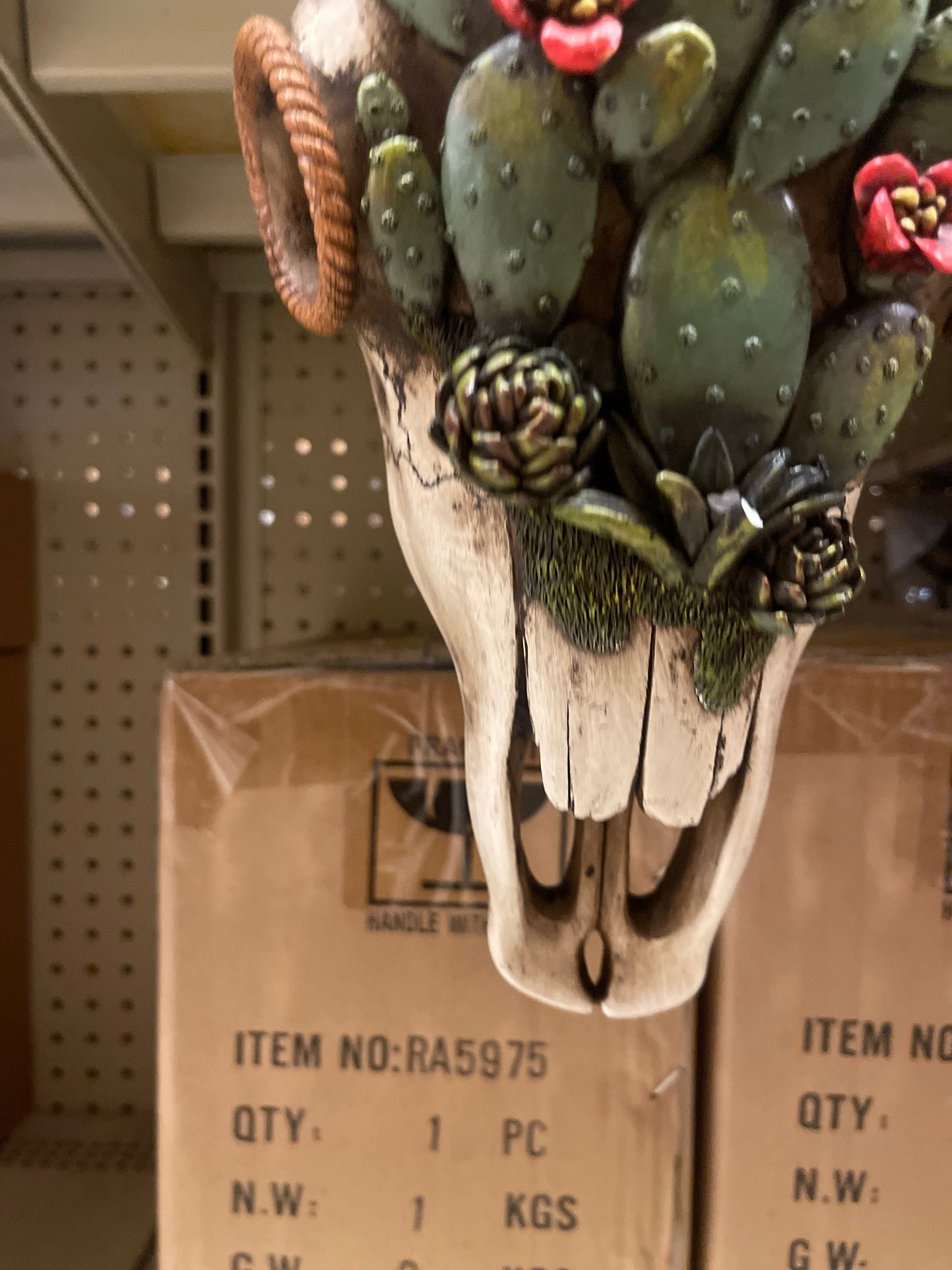 Cactus Succulent Cowskull Wall Decor