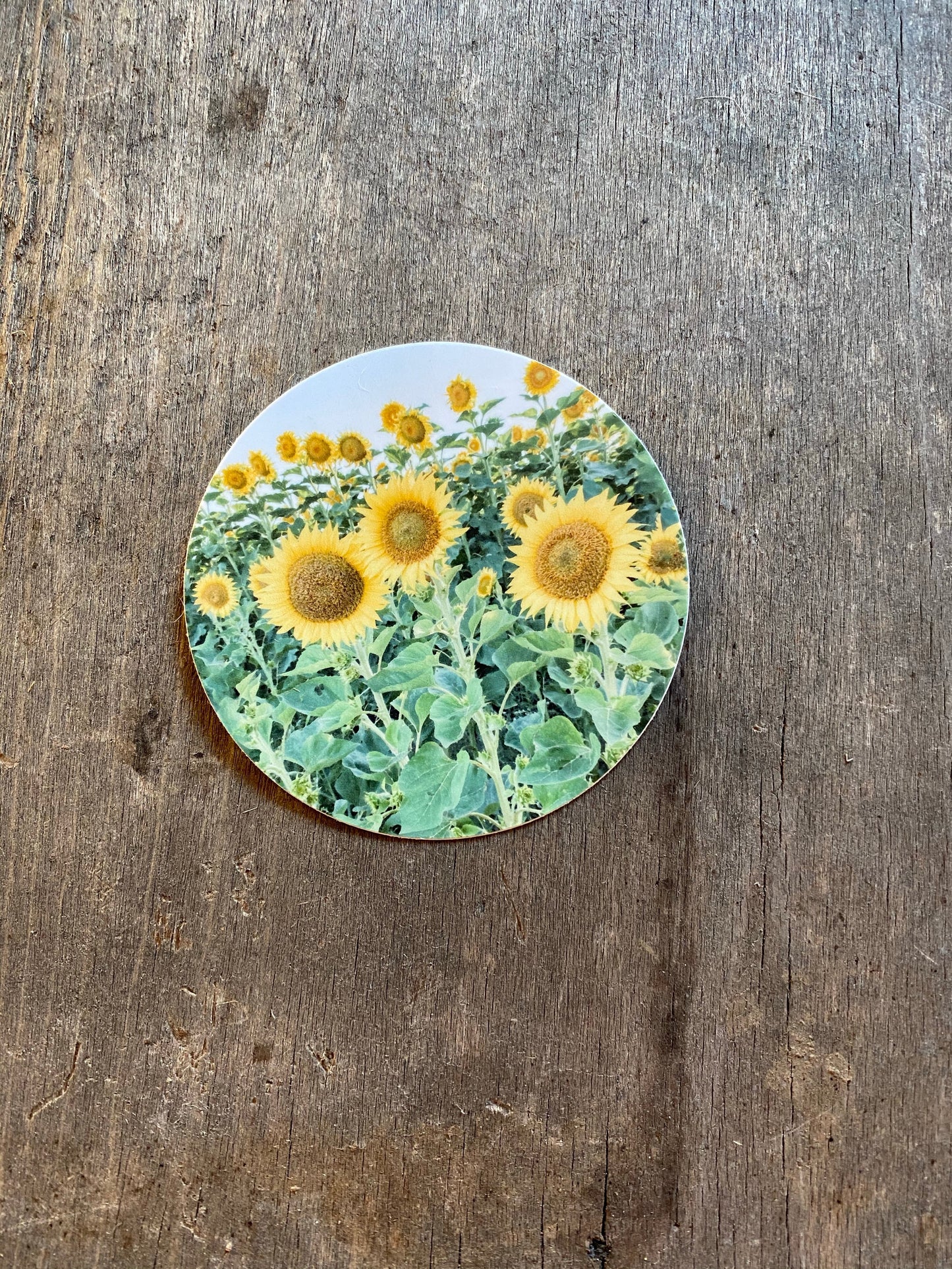Sunflower Field - Sticker