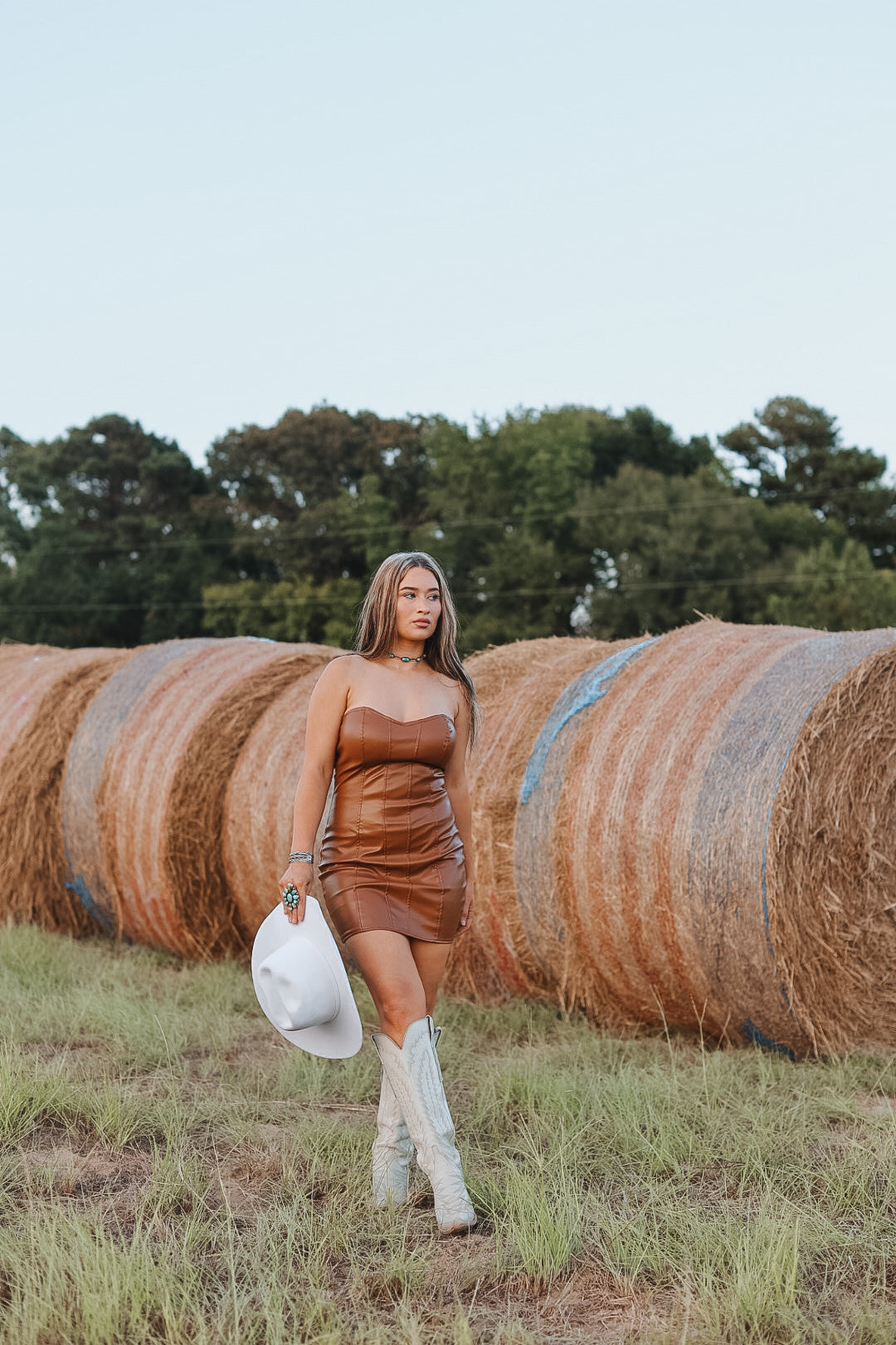 The Laci Dress - small