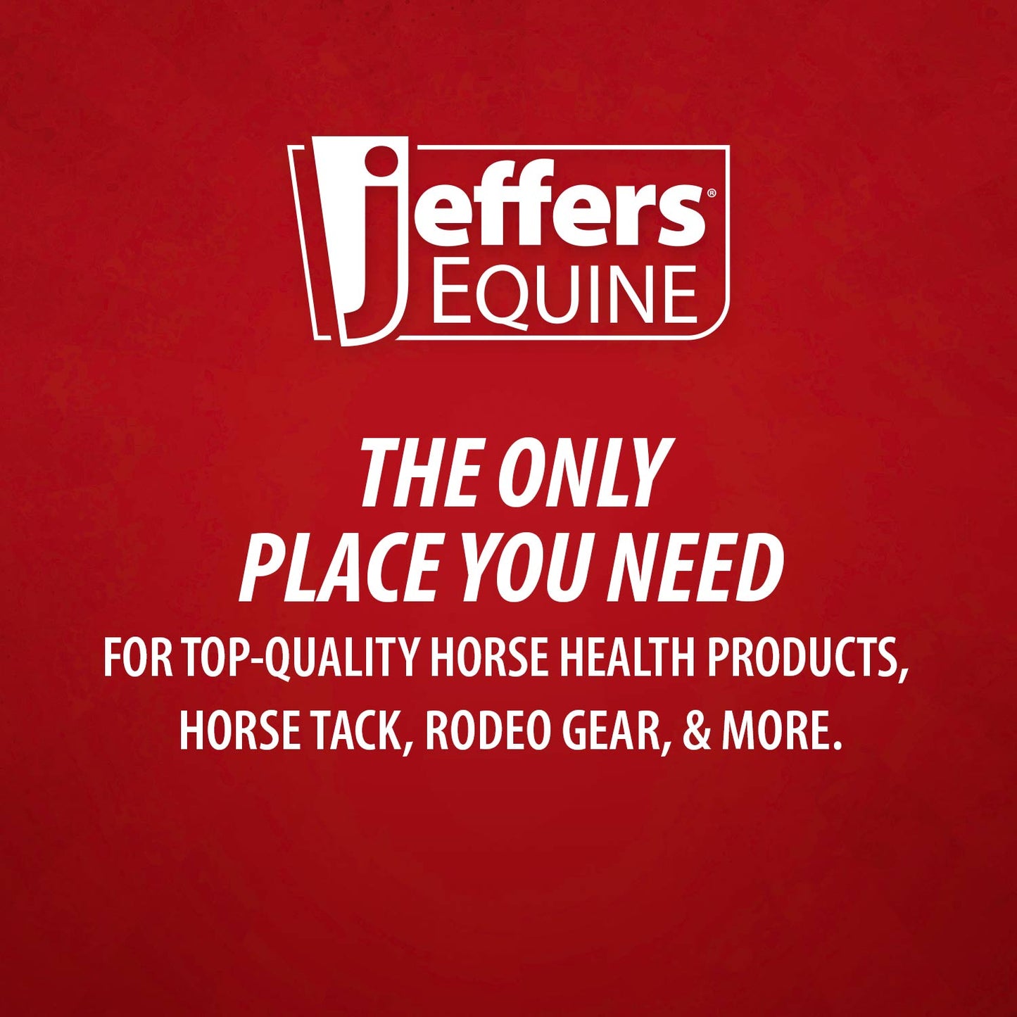Jeffers Double-Sided Sisal/Microfiber Face Grooming Mitt for Horses