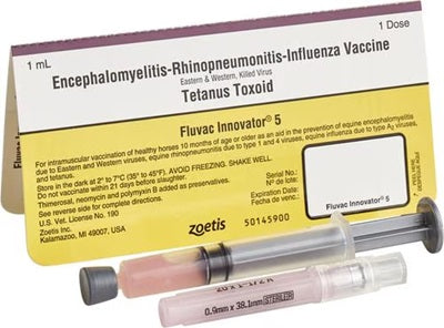 FLUVAC INNOVATOR 5 TETANUS TOXOID