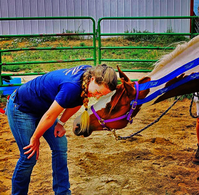 Equi-Taping® Kit