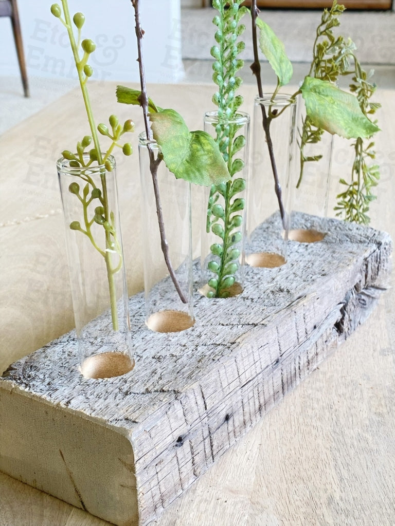 Reclaimed Wood and Glass Plant Propagation Vases