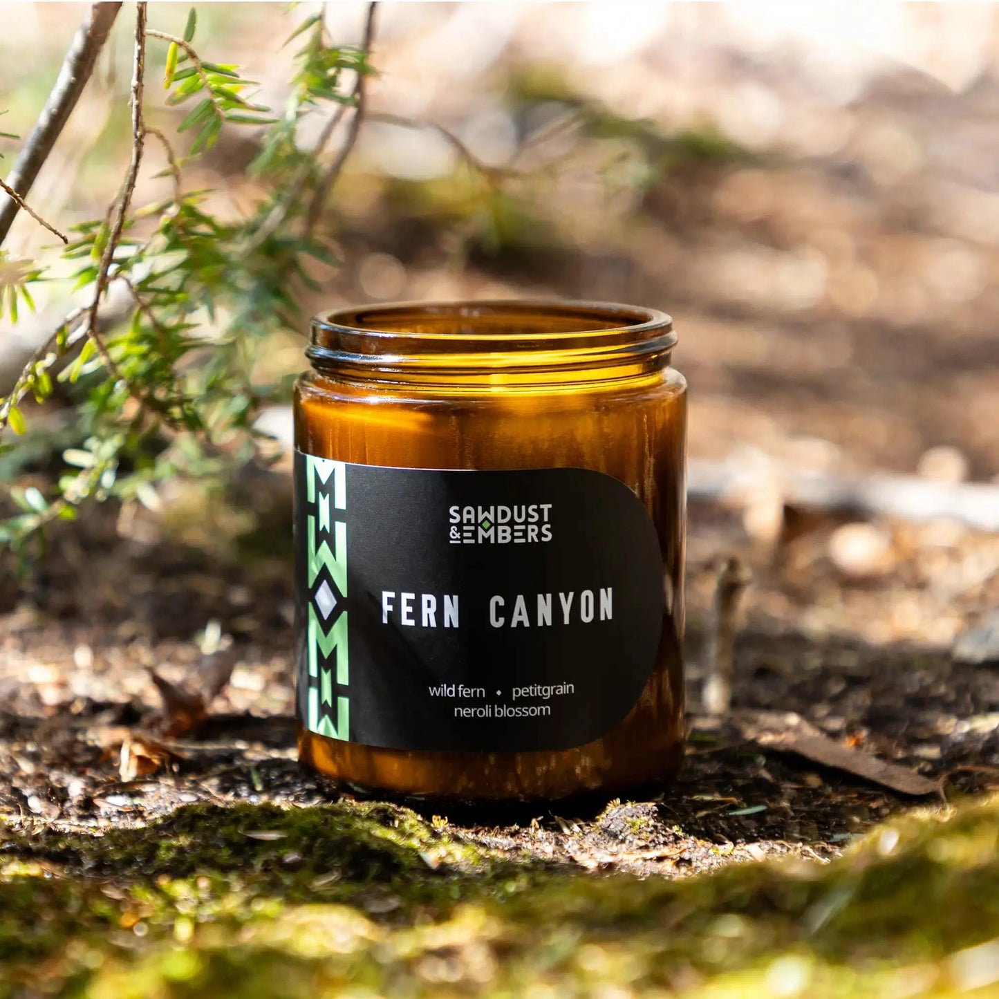 Fern Canyon - Signature Candle