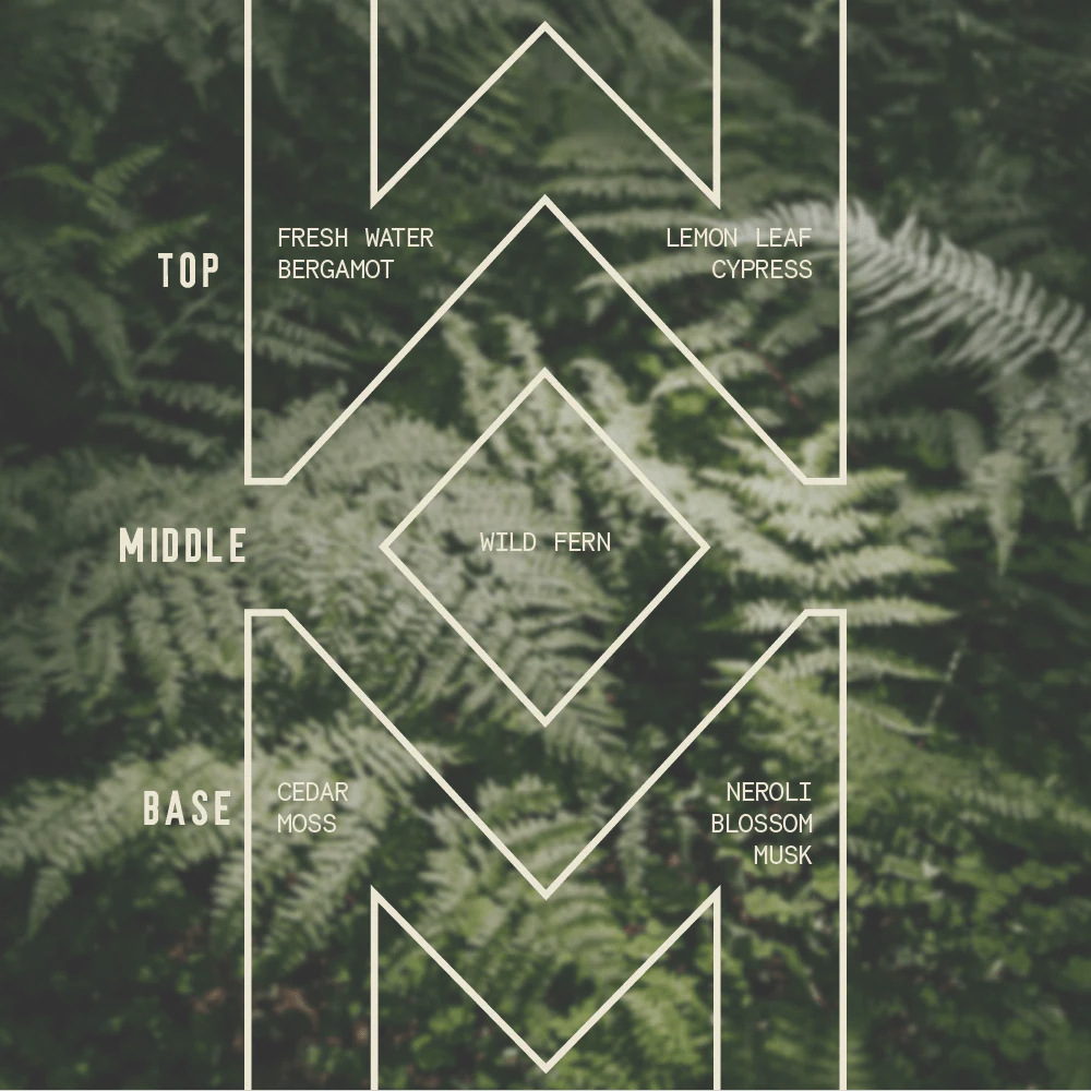Fern Canyon - Signature Candle