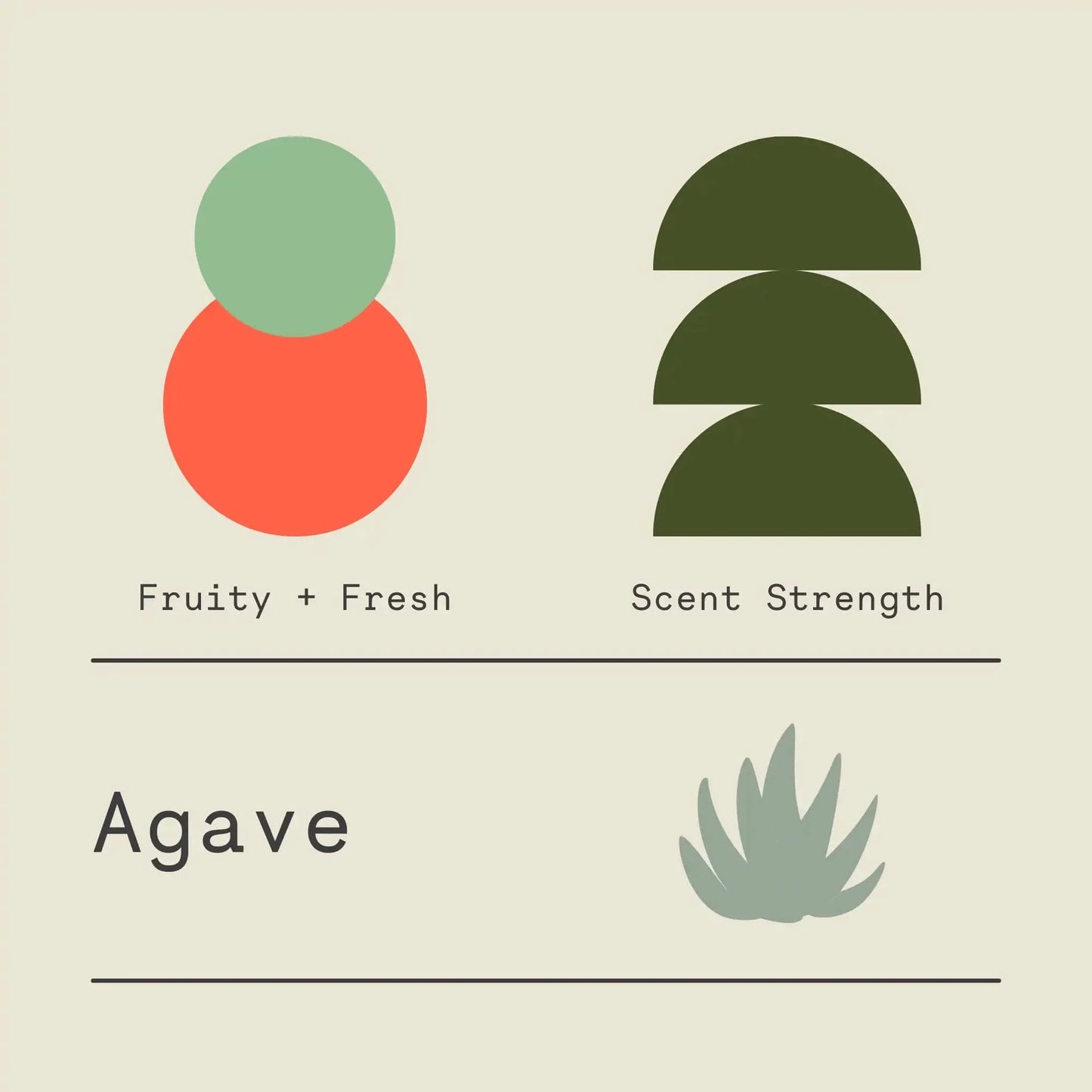 Agave - Signature Candle
