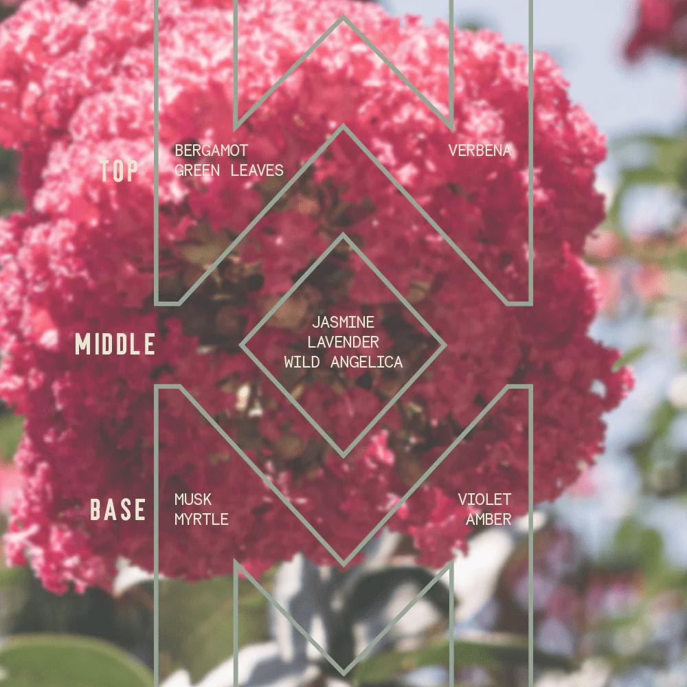 Crepe Myrtle - Signature Candle