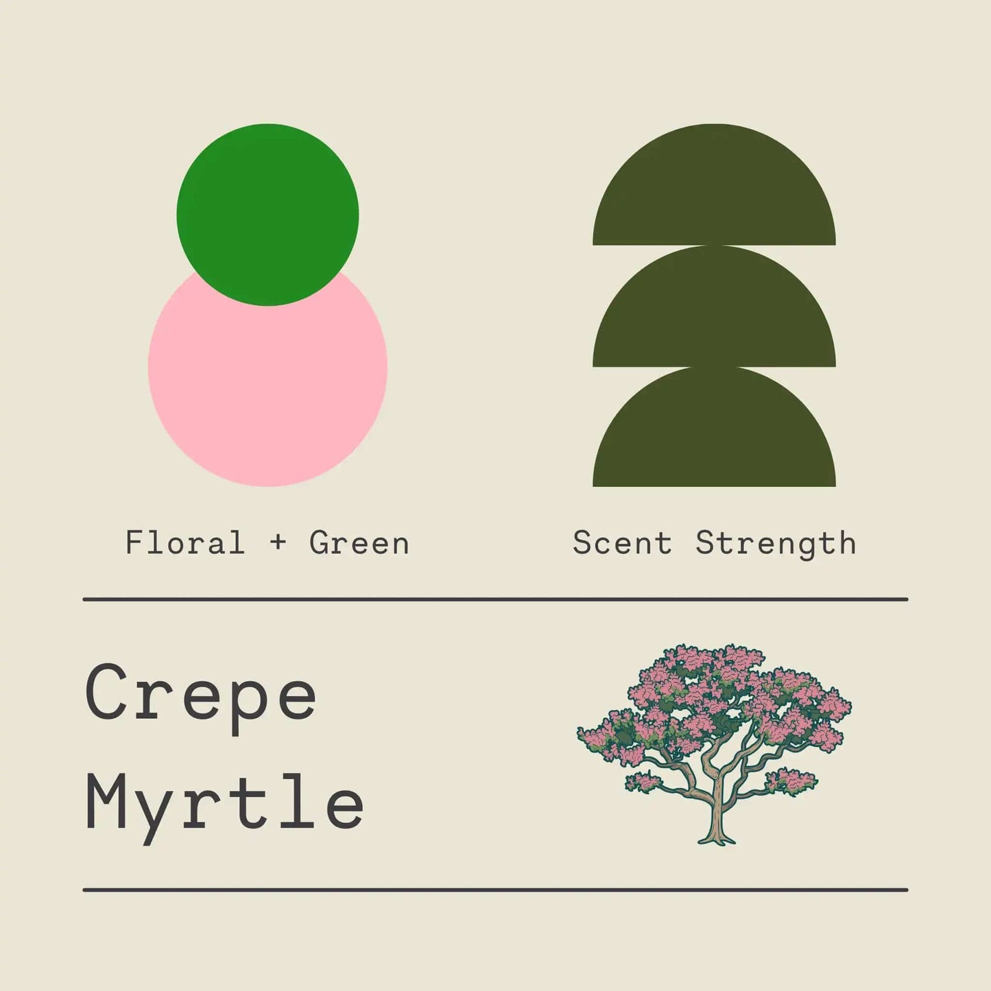 Crepe Myrtle - Signature Candle
