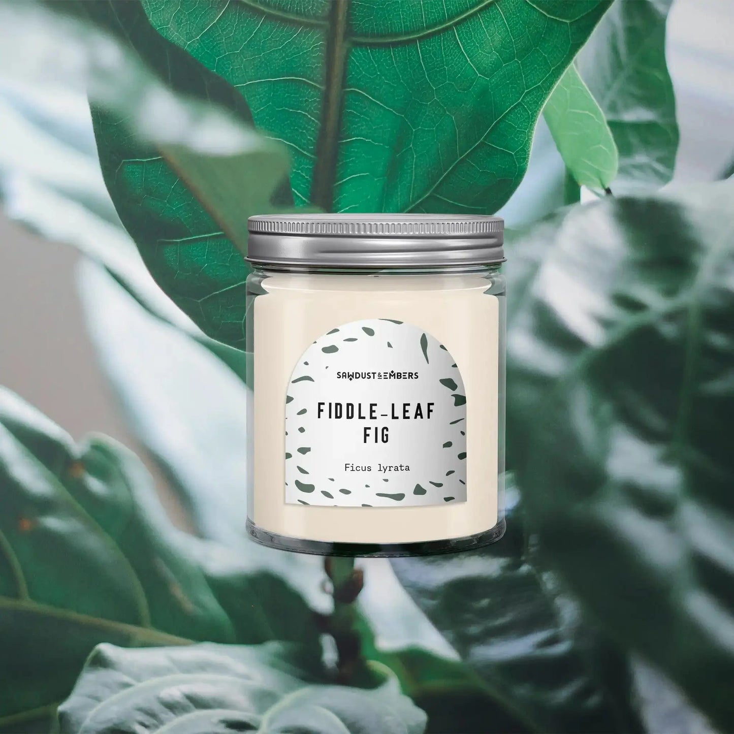 Fiddle-Leaf Fig - Signature Candle