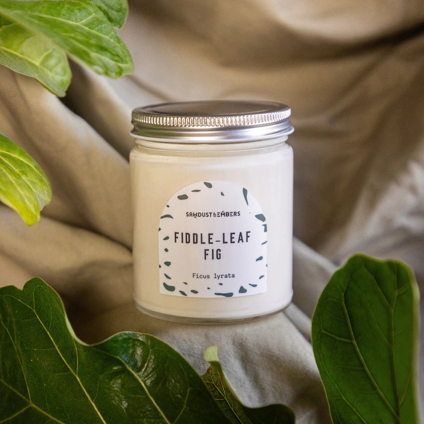 Fiddle-Leaf Fig - Signature Candle
