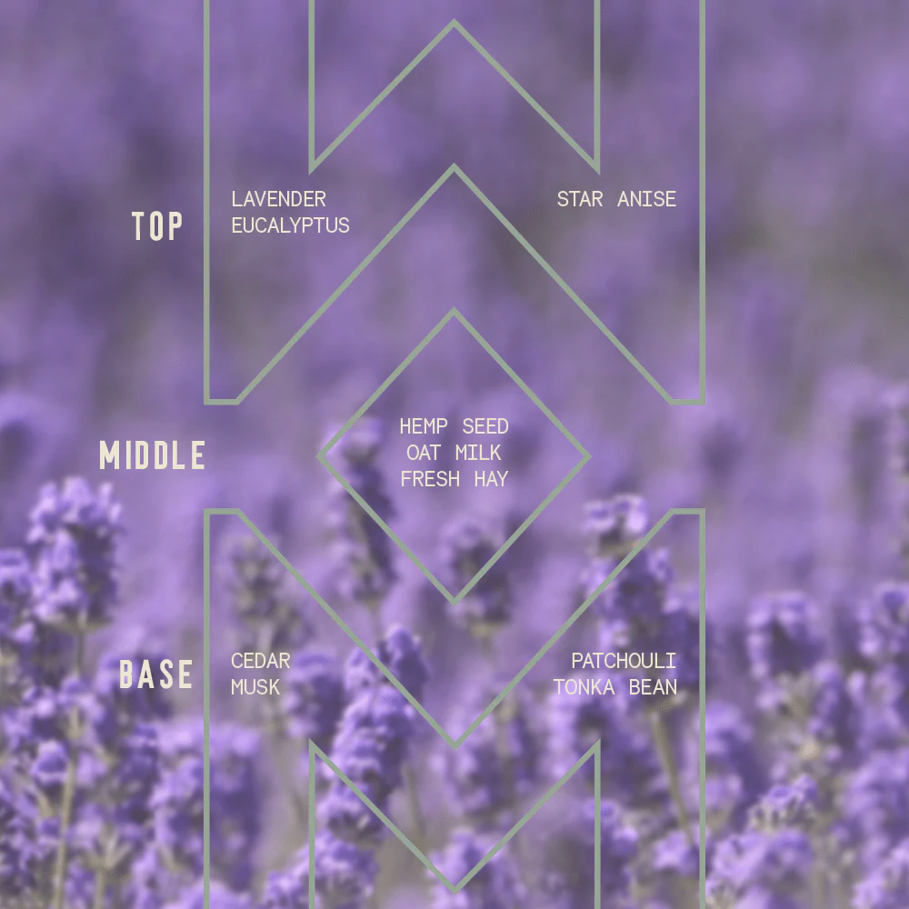 Lavender - Signature Candle