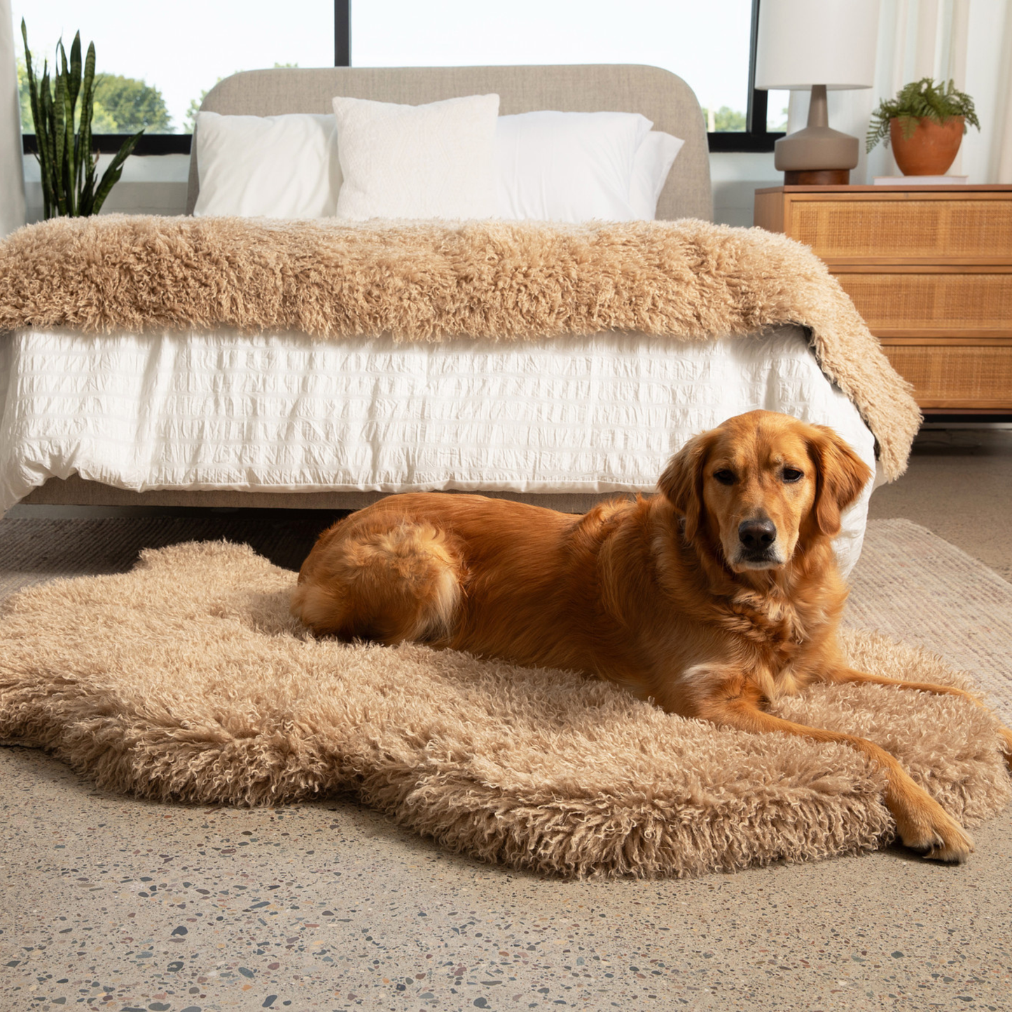 PupRug™ Luxe Faux Fur Orthopedic Dog Bed - Plush Sheep Tan