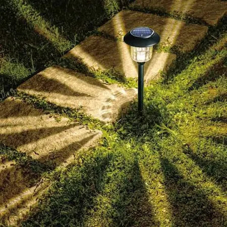 Member's Mark Solar Pathway Lights (12 pack)