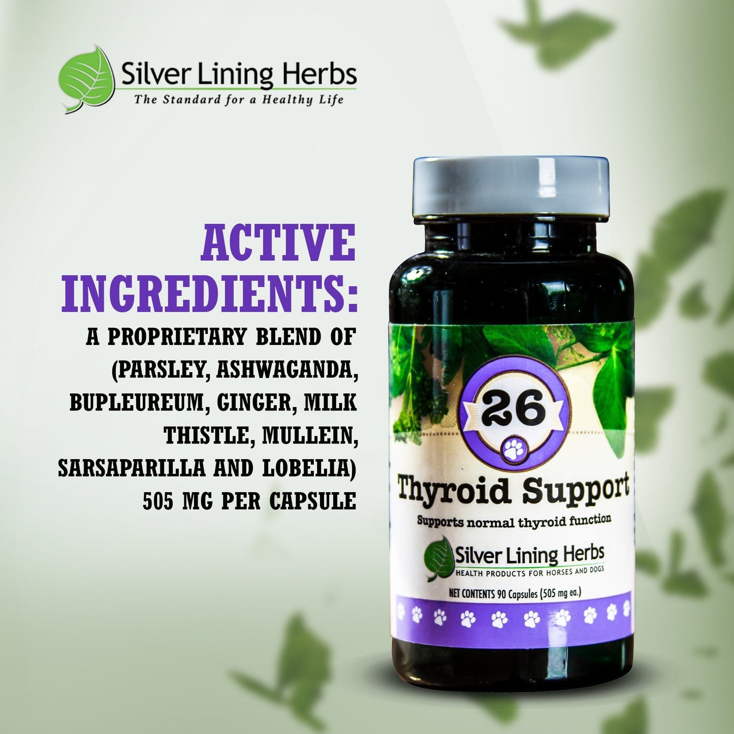 Thyroid Support for Canines